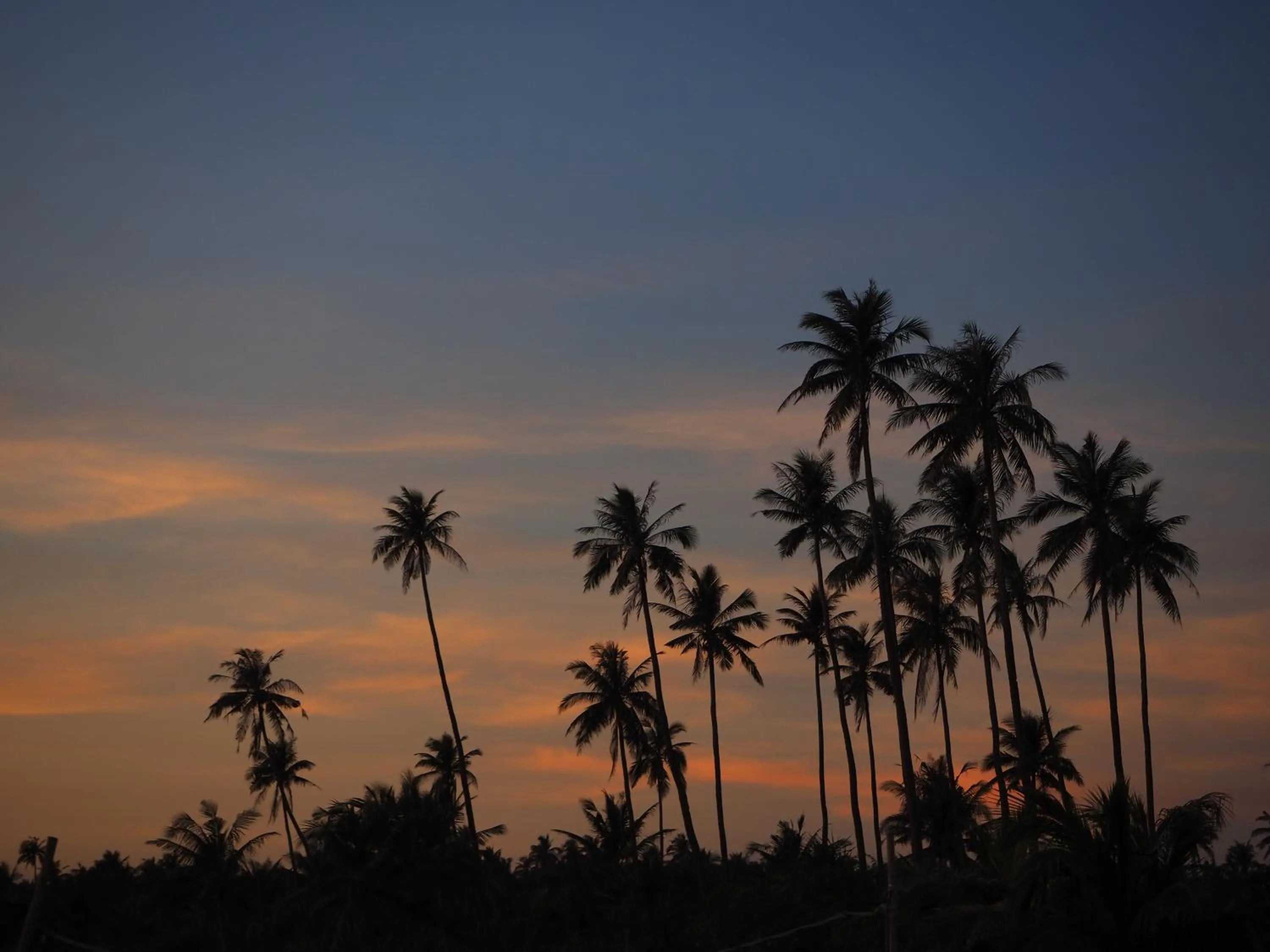 View (from property/room) in Footprints Beach Resort
