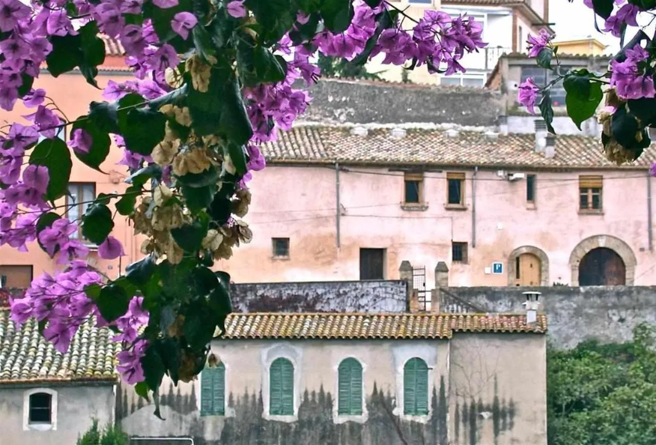 Hotel rural HD Riudebitlles art i allotjament