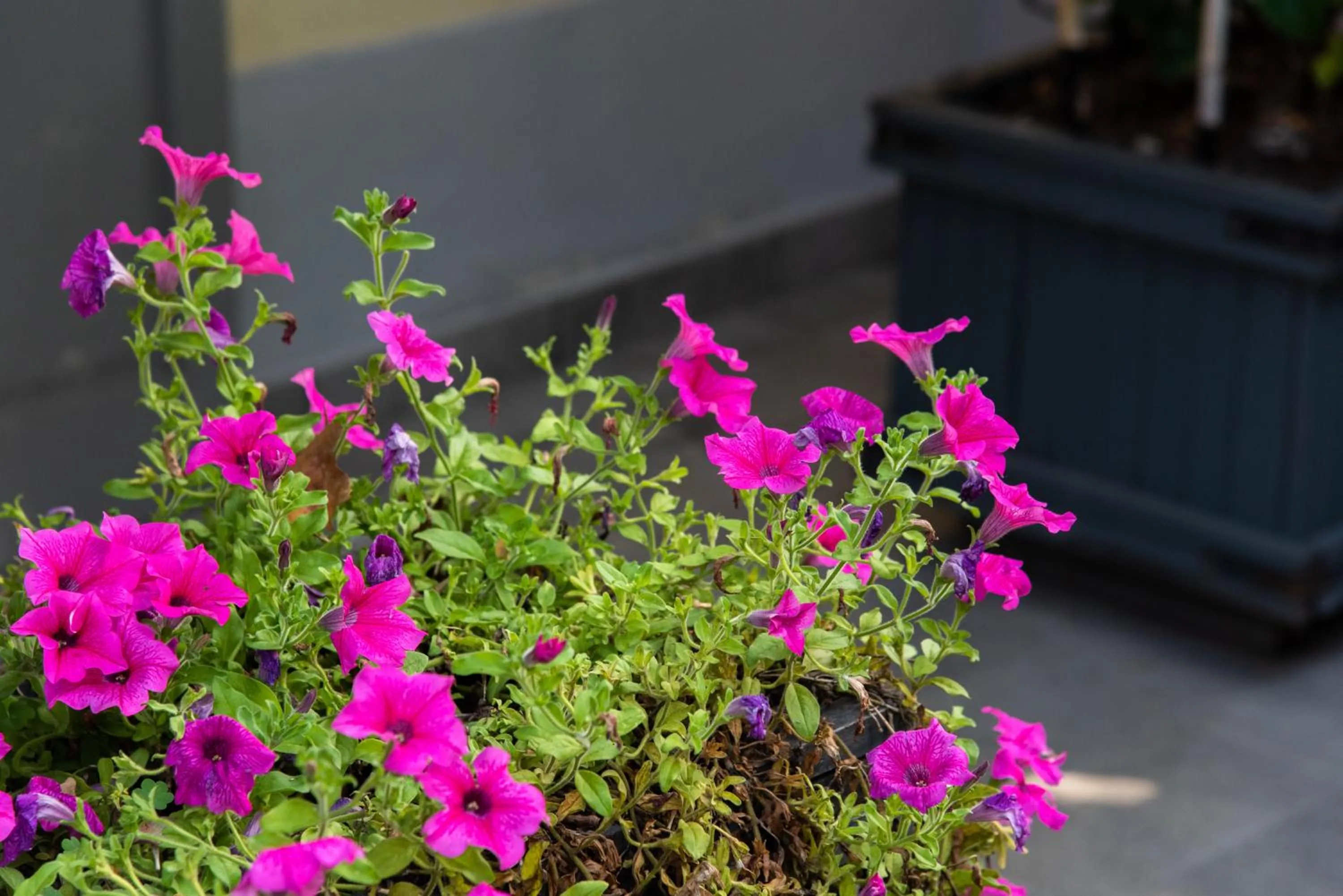 Day in La Fonderia Firenze