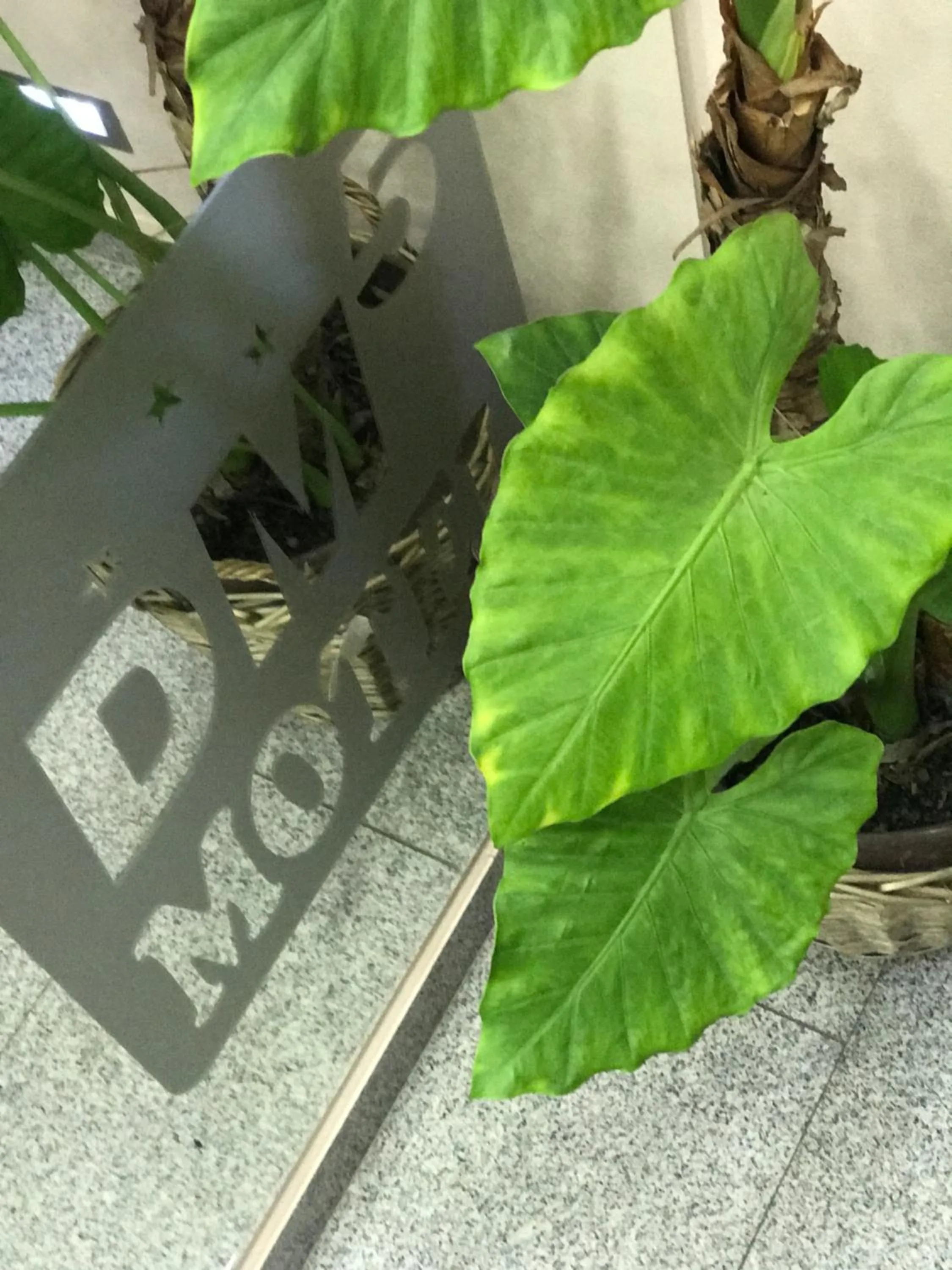 Property logo or sign in Prenociste&Restoran DM