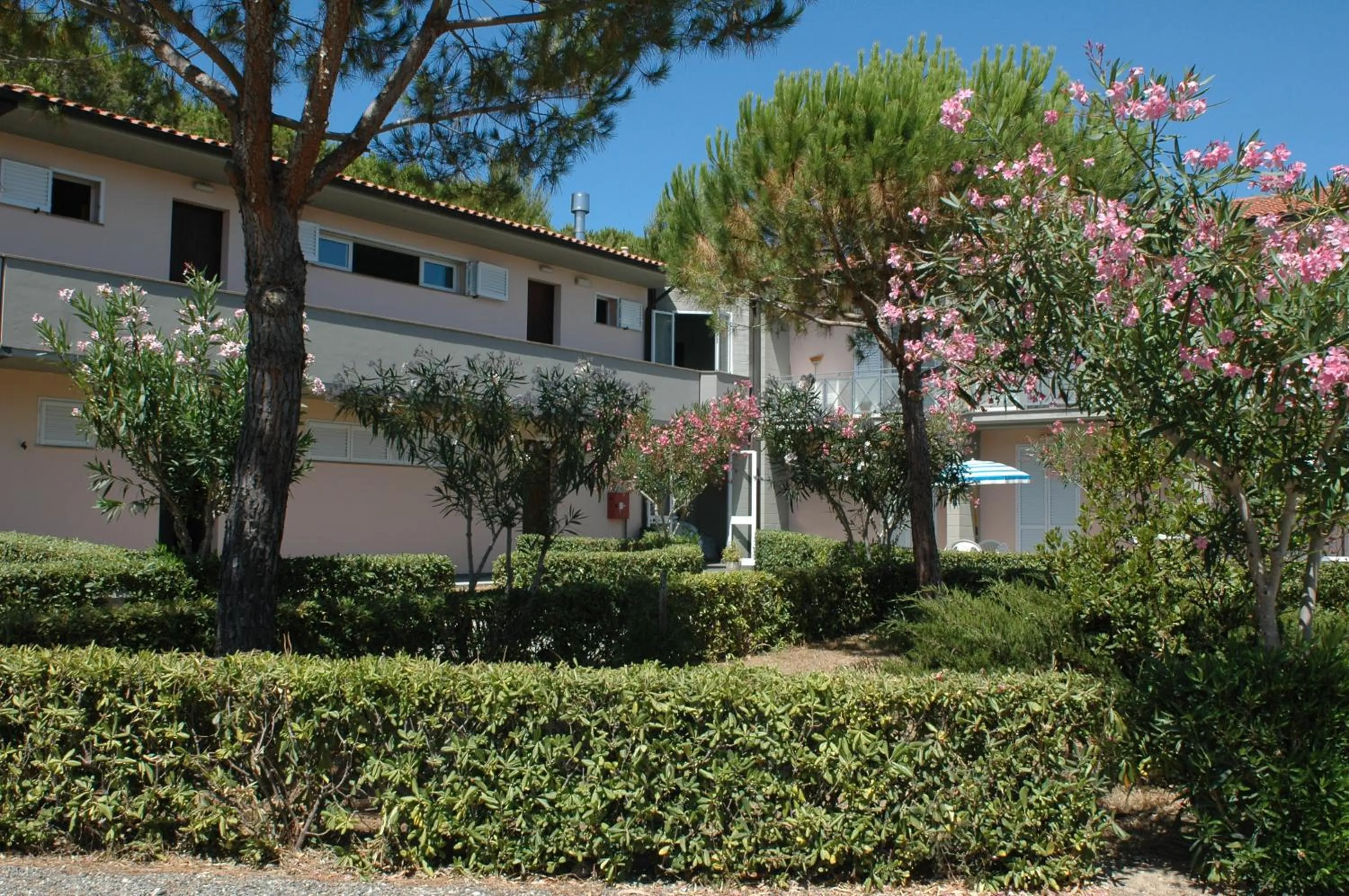 Garden view in Oleandri Suite Hotel