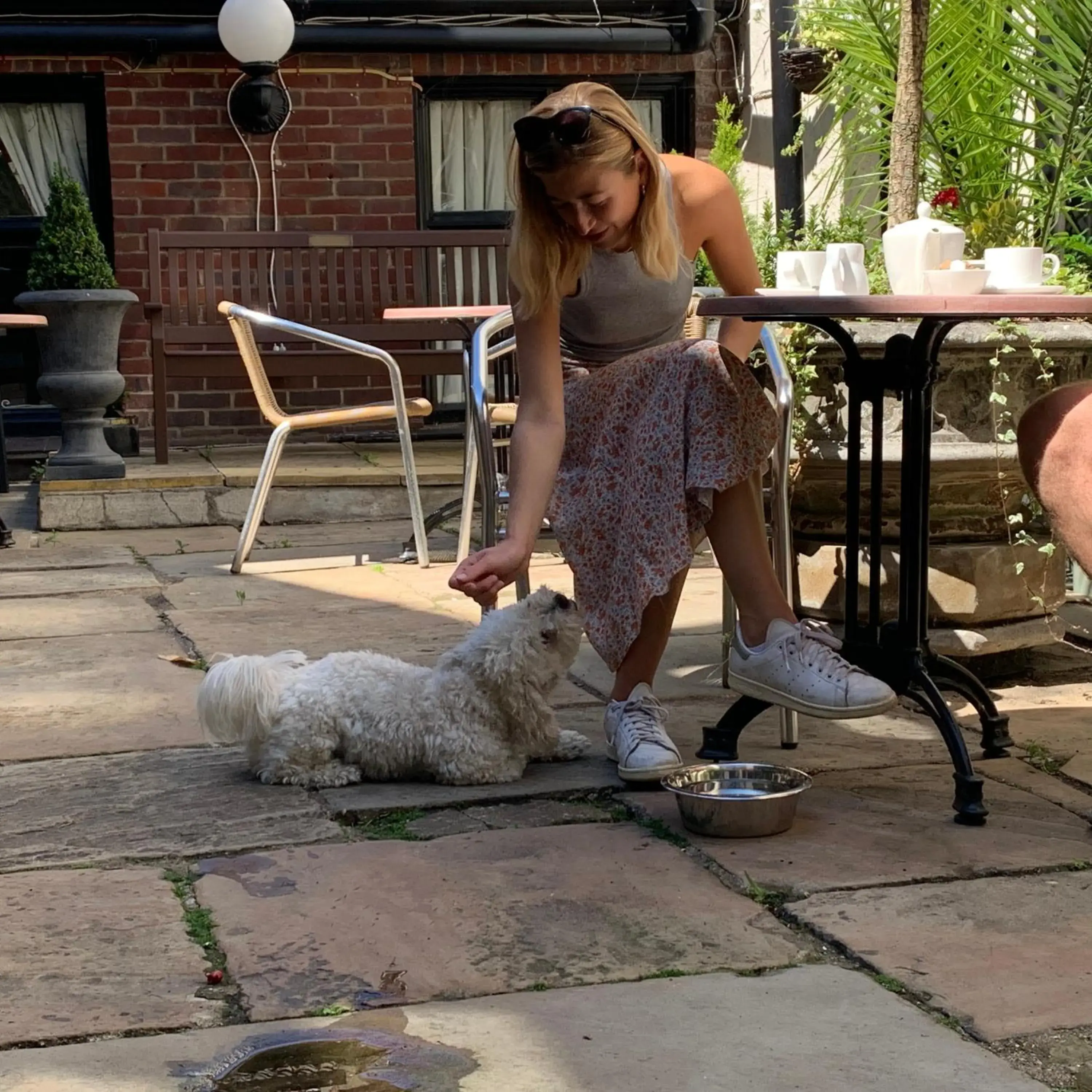 Deluxe Double Room - single occupancy - Dog Friendly in The Maids Head Hotel Deluxe Double Room - single occupancy - Dog Friendly in The Maids Head Hotel