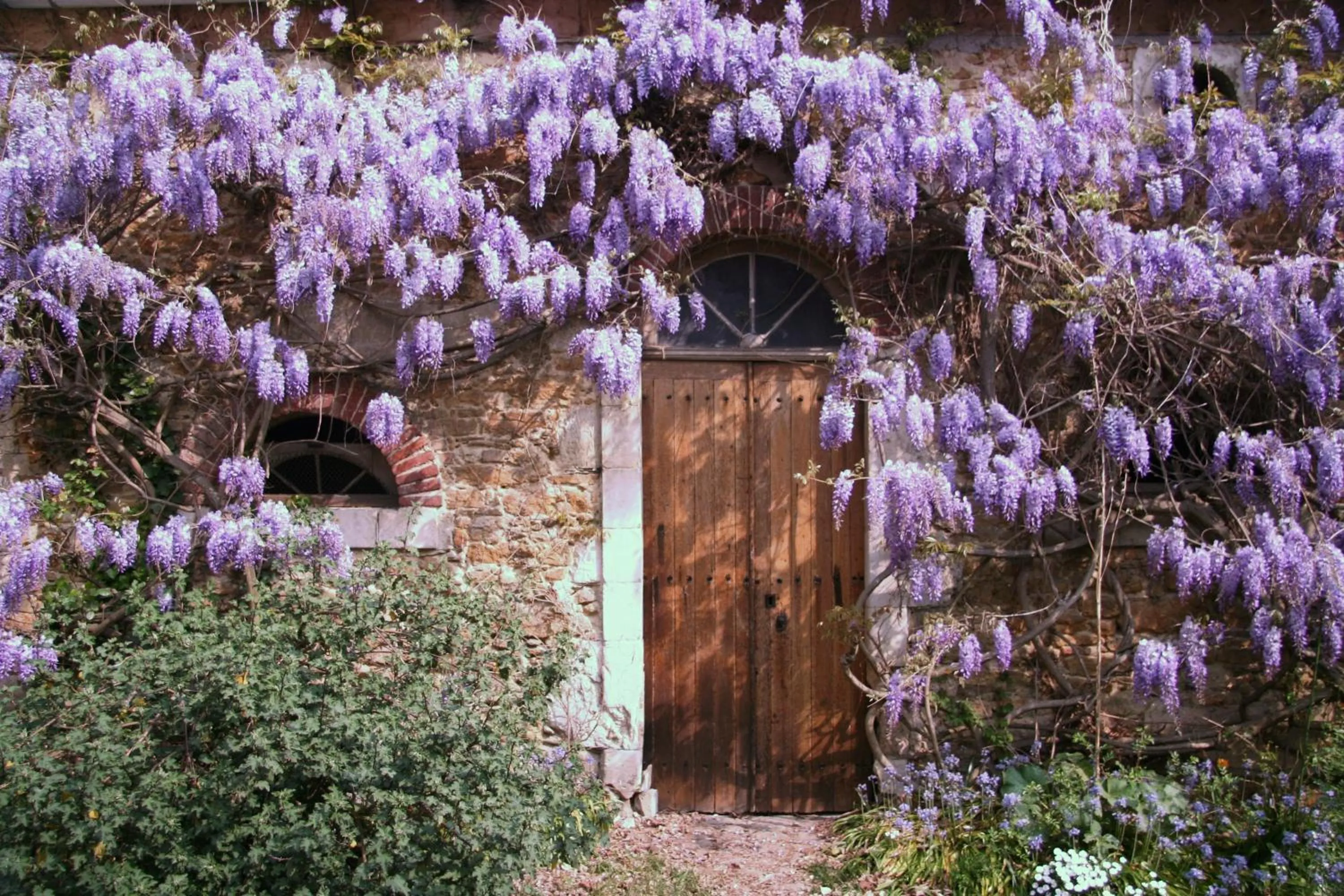 Garden in Chambres d'hôtes Le Clos d'Hauteville