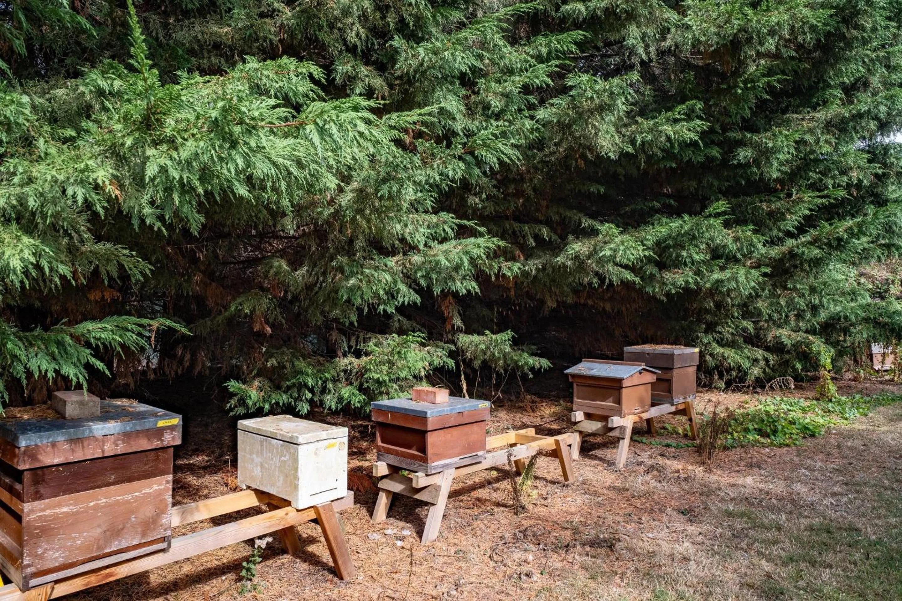 Property building in Clarion Hotel Charlecote Pheasant