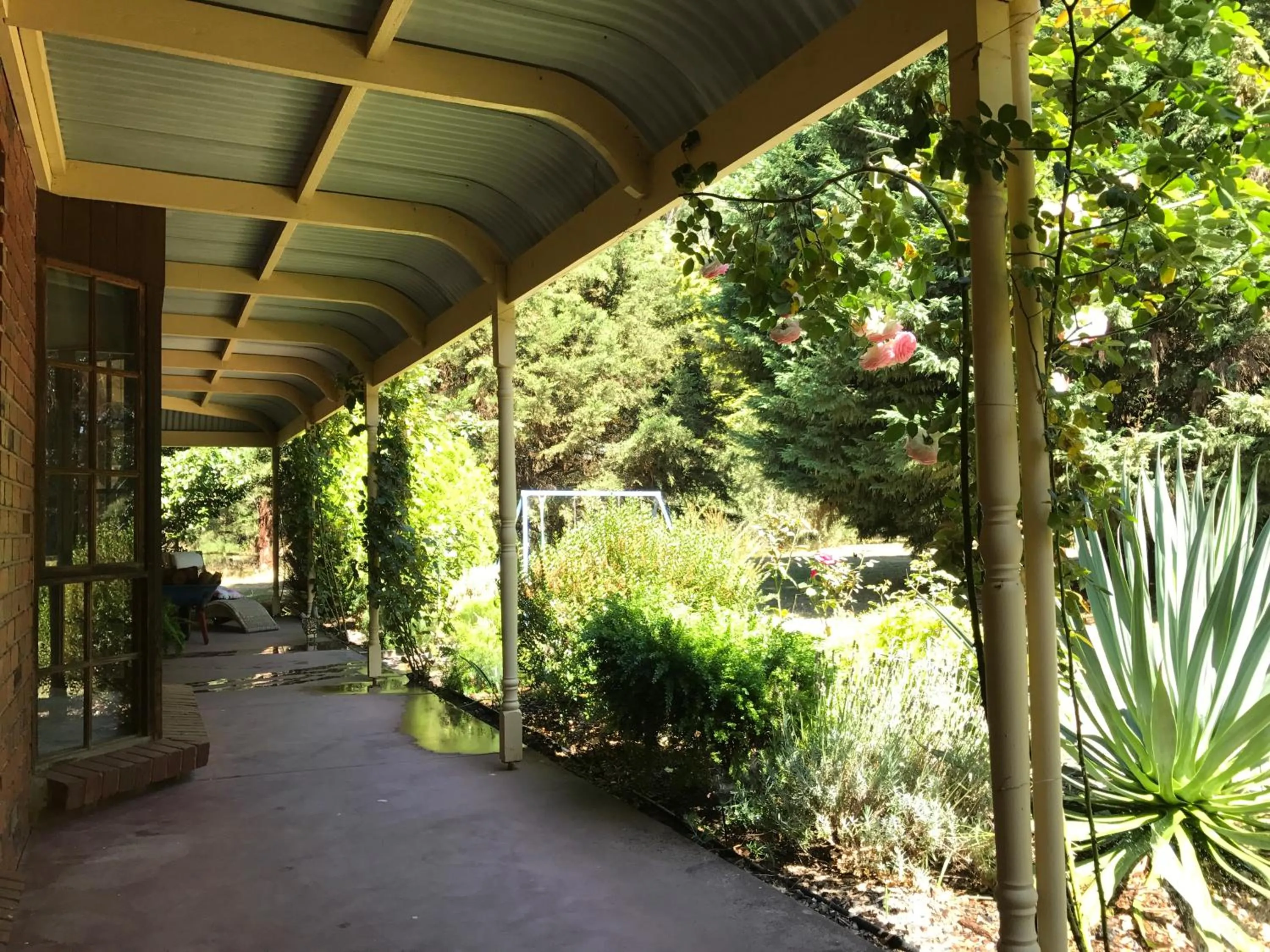 View (from property/room) in Helen's Homestead