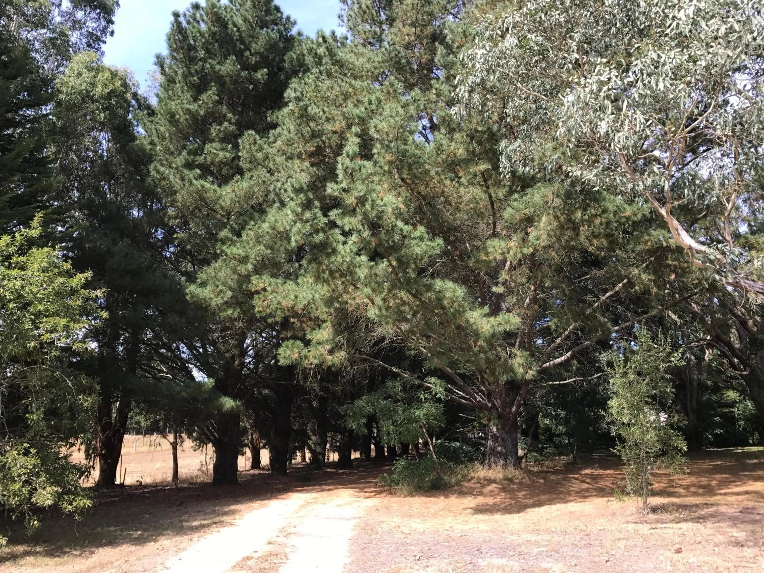 Facade/entrance in Helen's Homestead