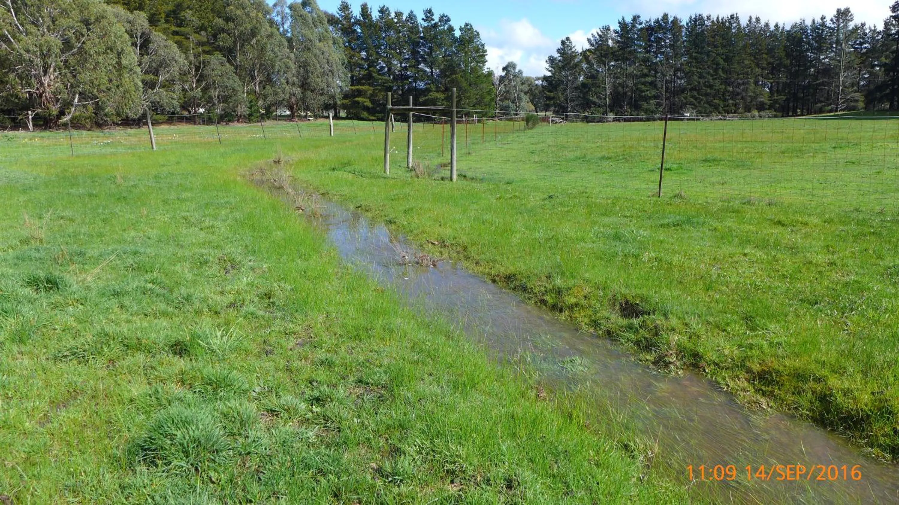 Other in Helen's Homestead