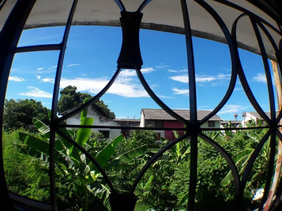 Natural landscape in Muster House