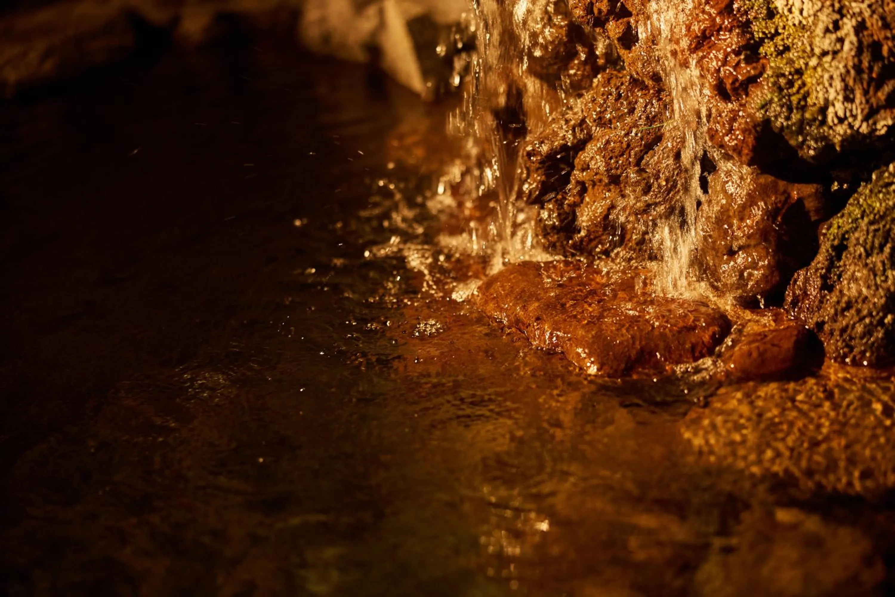 Public Bath in Yuno Yado Shoei