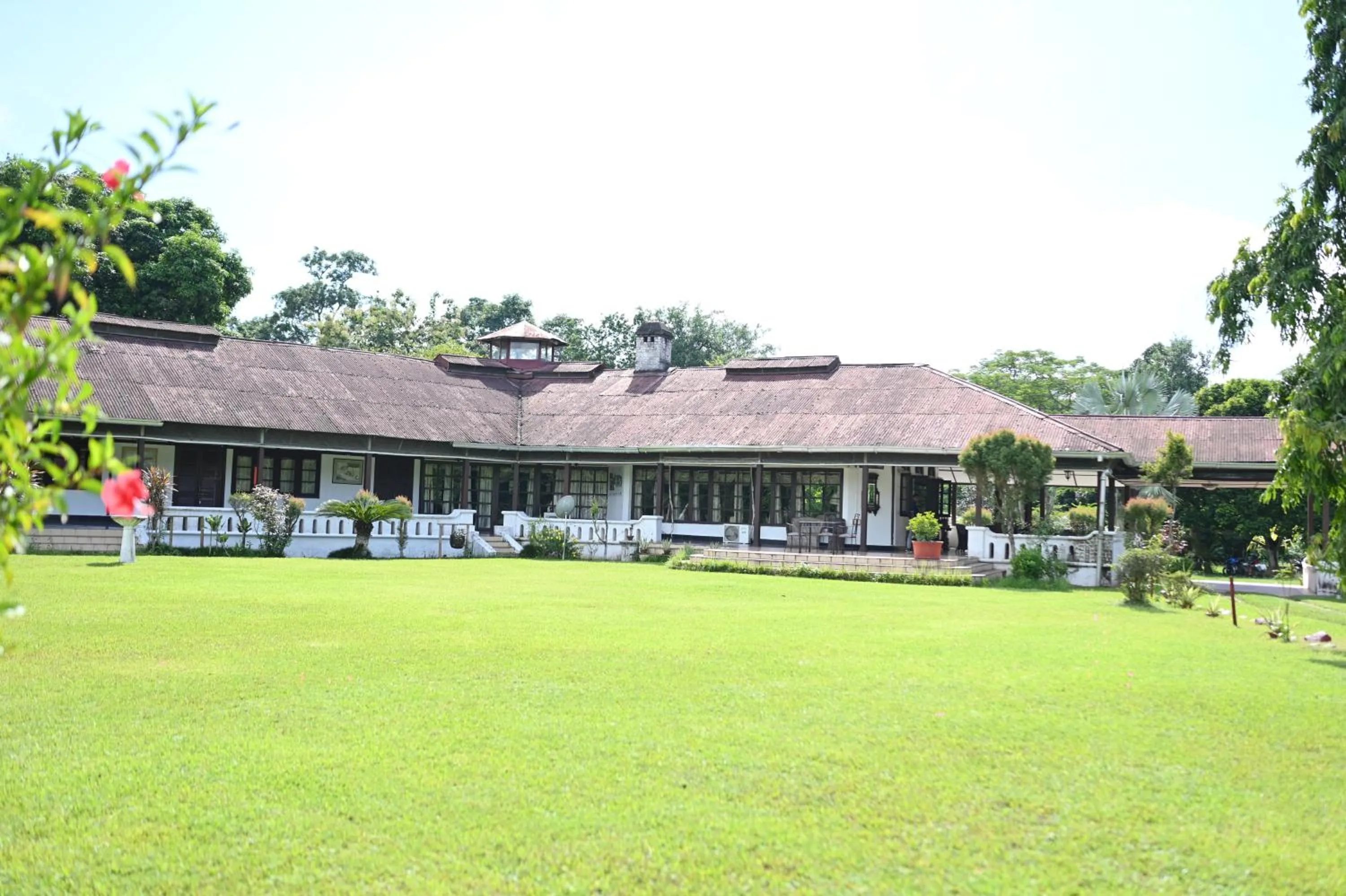 Banyan Grove