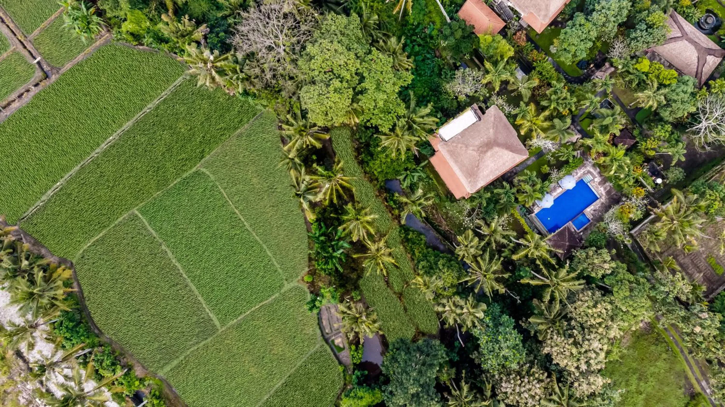 Bird's eye view in Alam Shanti Ubud