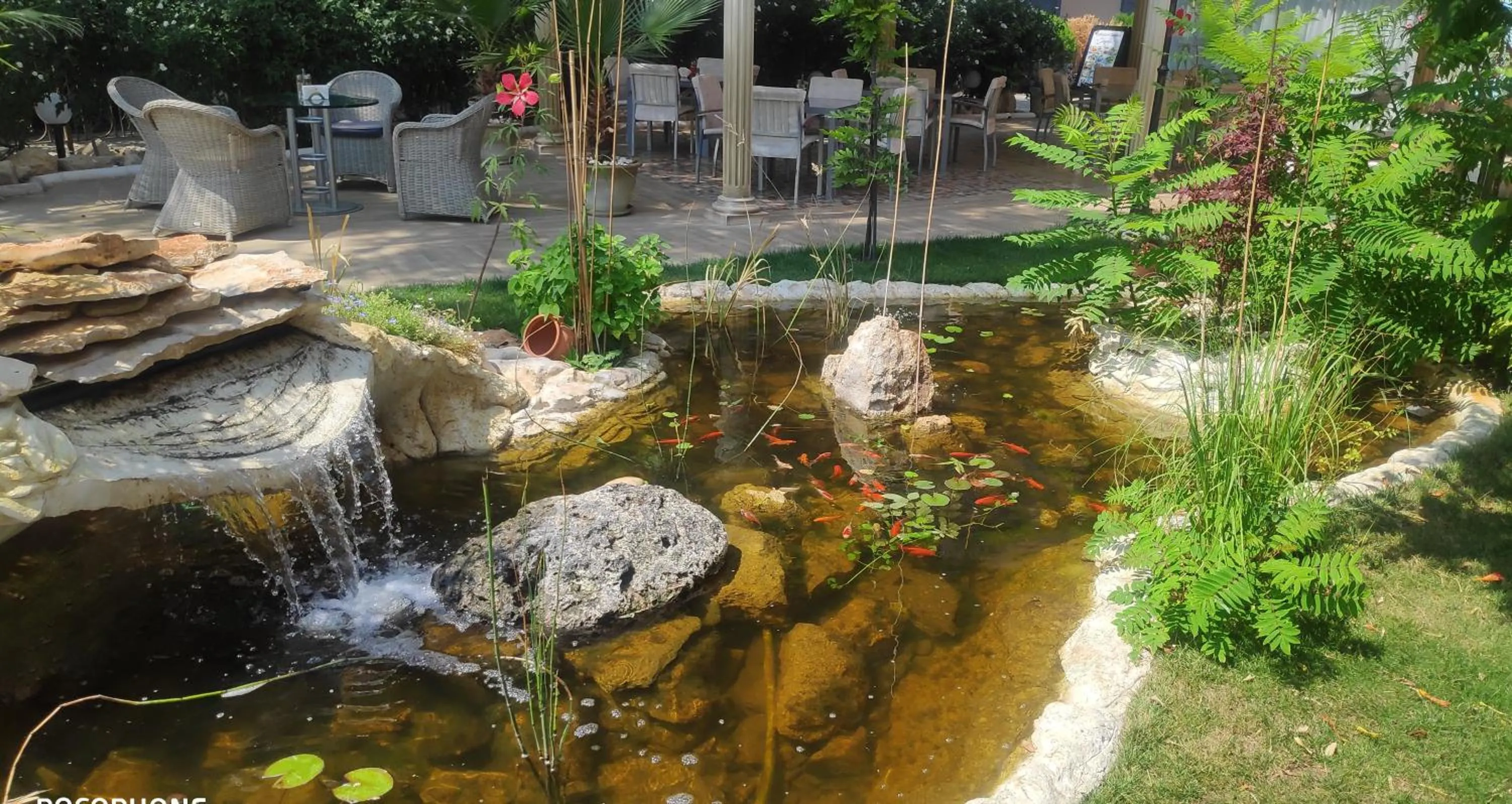 Garden in Hotel Shipka Beach