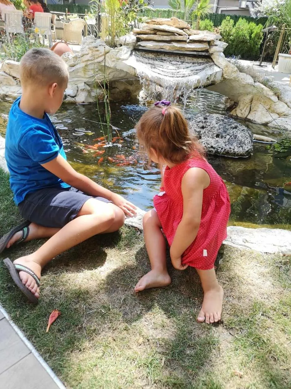 Garden in Hotel Shipka Beach