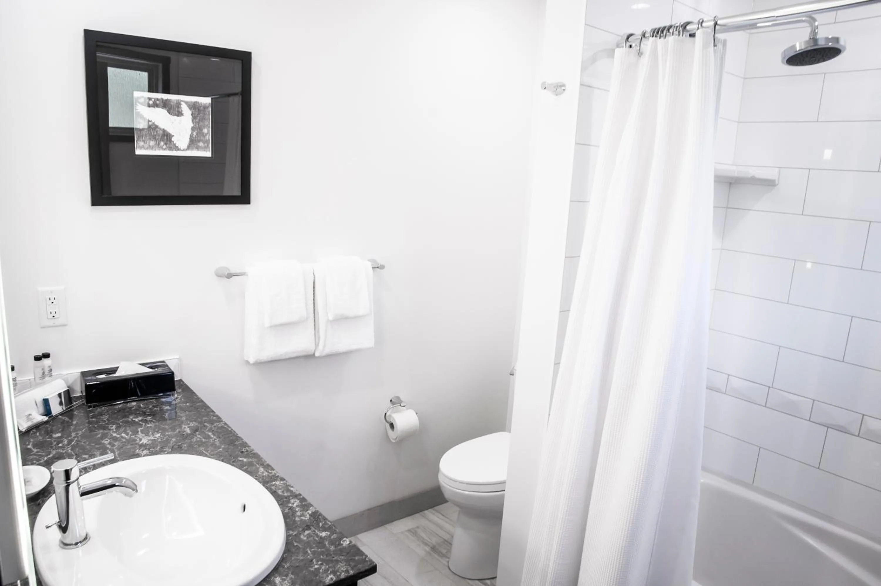 Shower in Charltons Banff