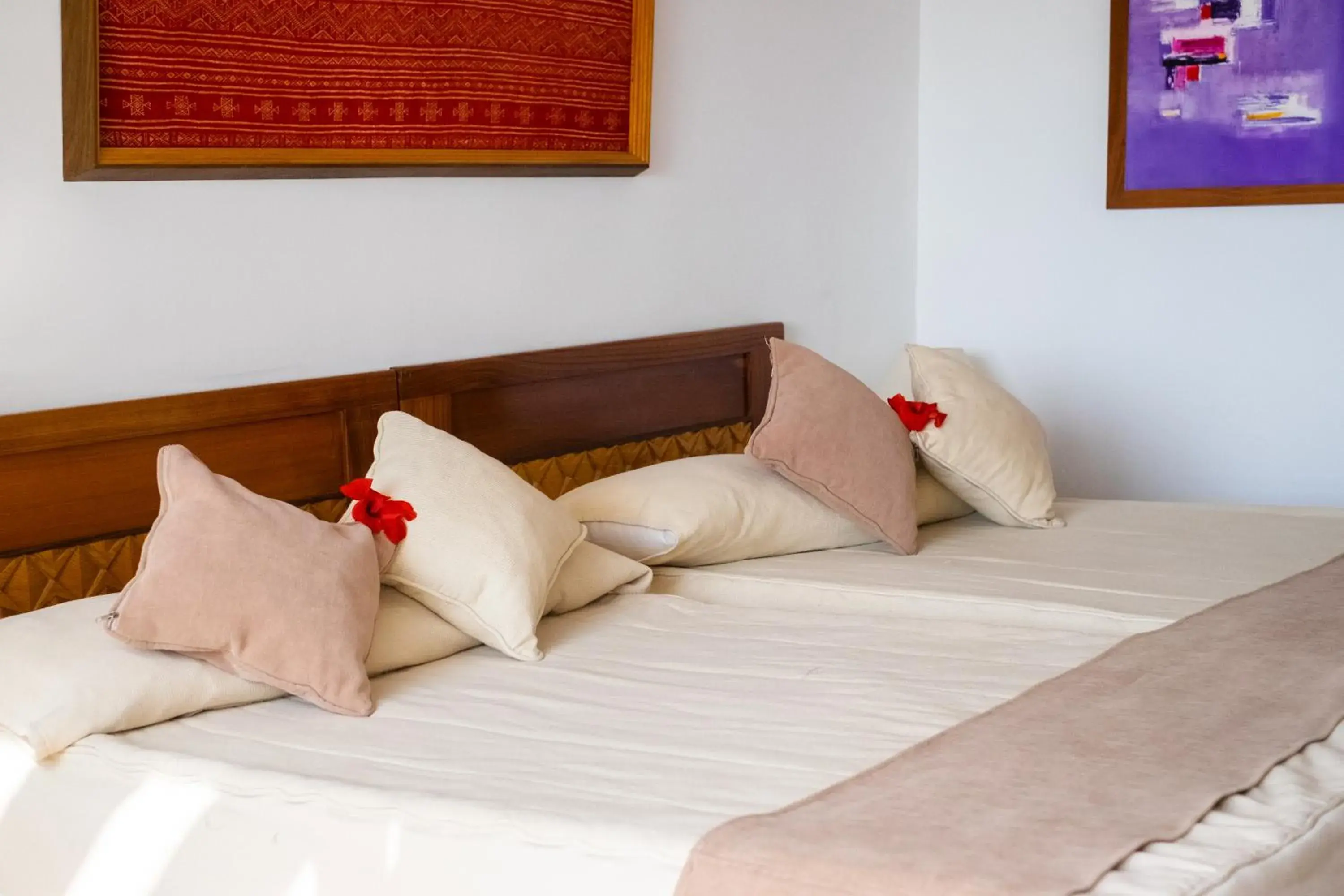 Double Room with Garden View in The Orangers Beach Resort and Bungalows All Inclusive Double Room with Garden View in The Orangers Beach Resort and Bungalows All Inclusive