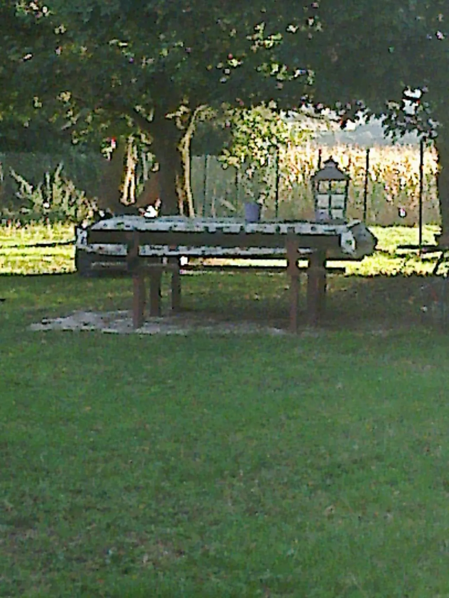 Garden in Les écureuils