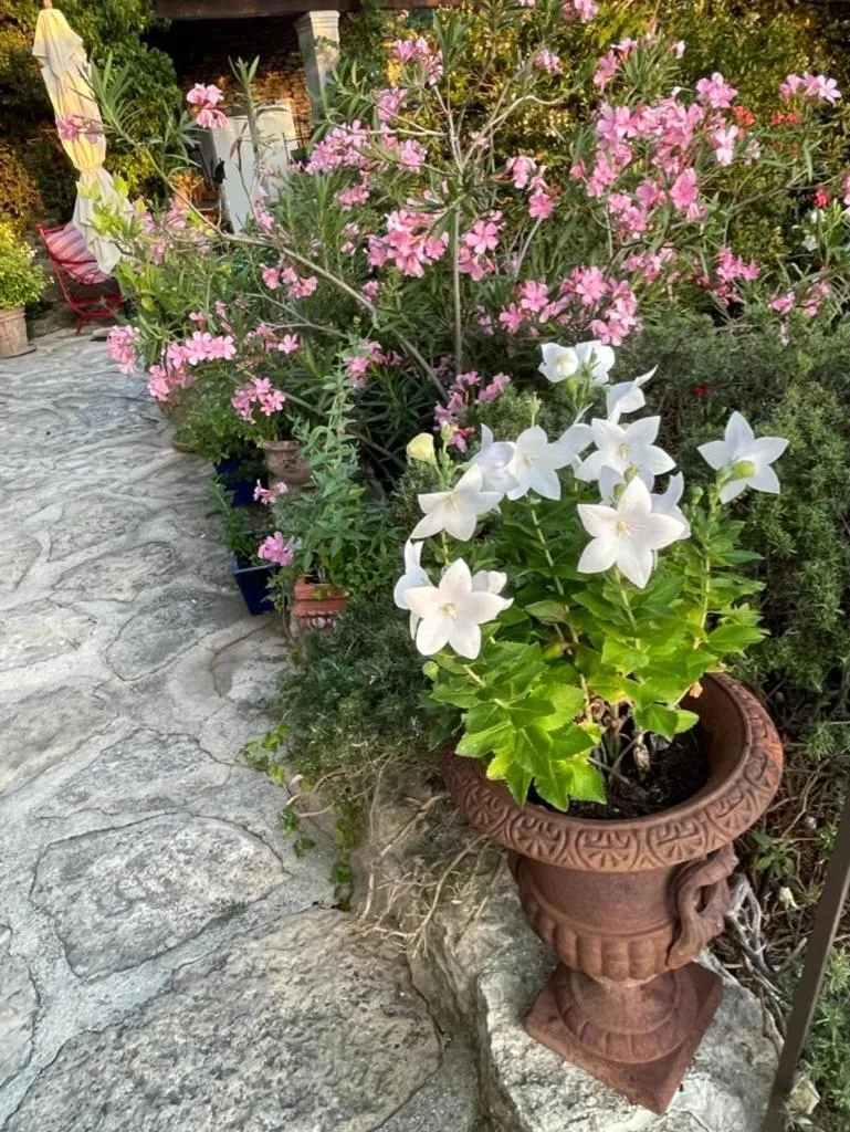 Property building in La Borie en Provence