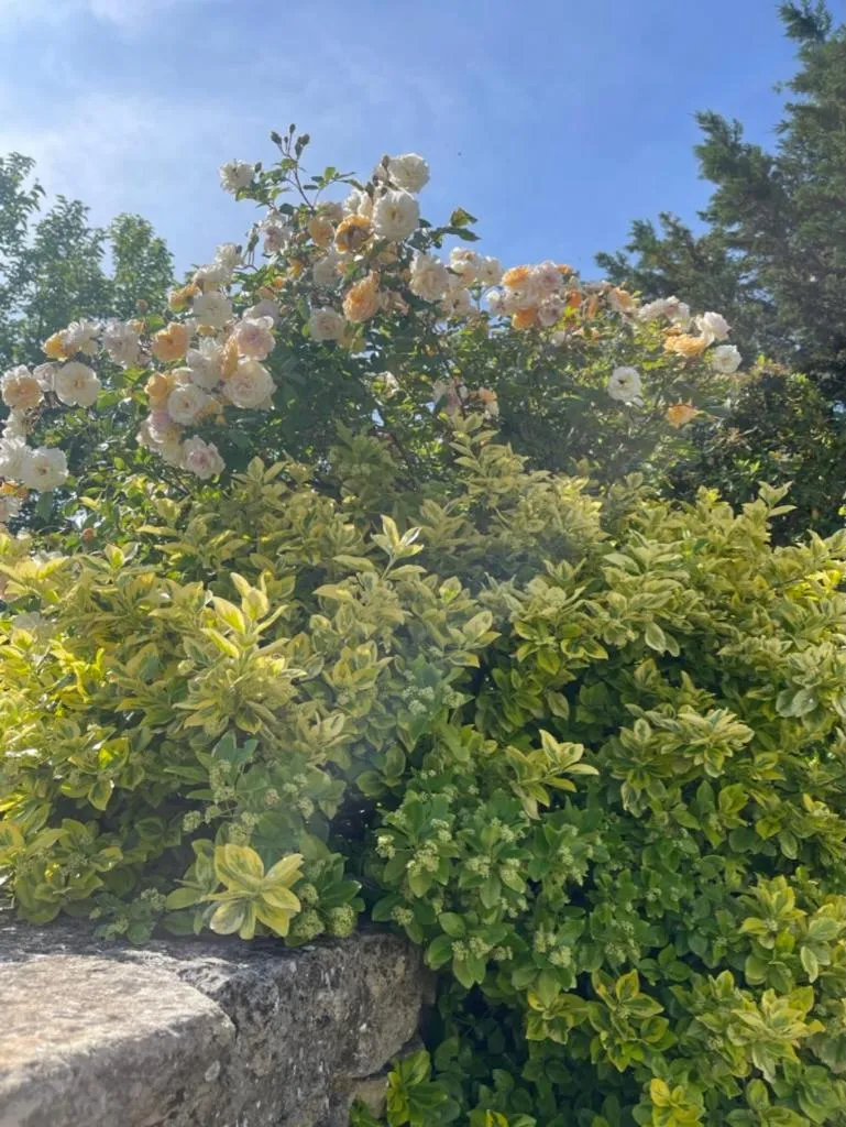 Property building in La Borie en Provence