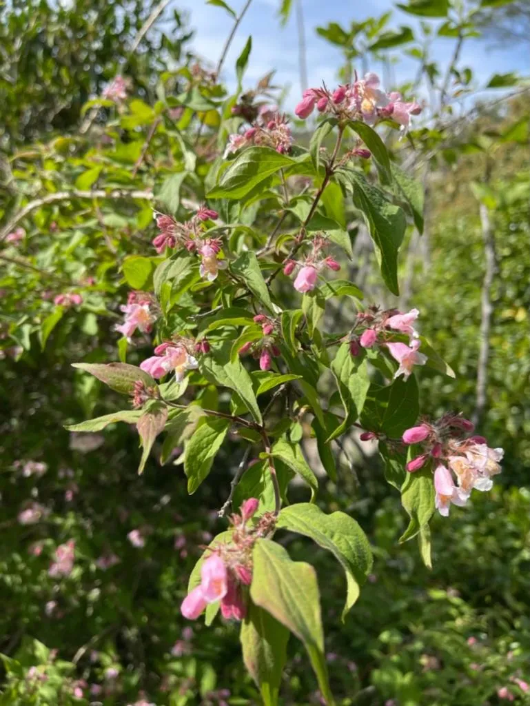 La Borie en Provence