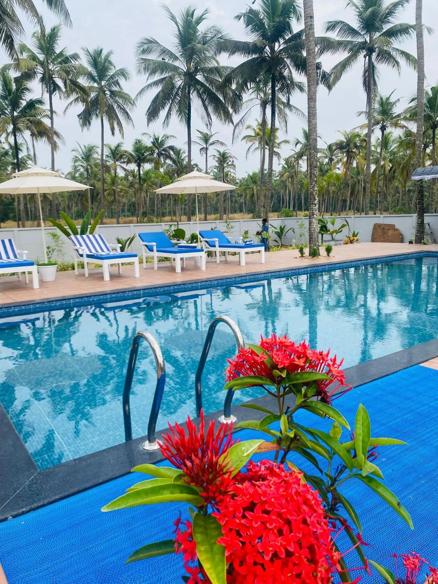 Swimming pool in Veda5 Ayurveda Living Village
