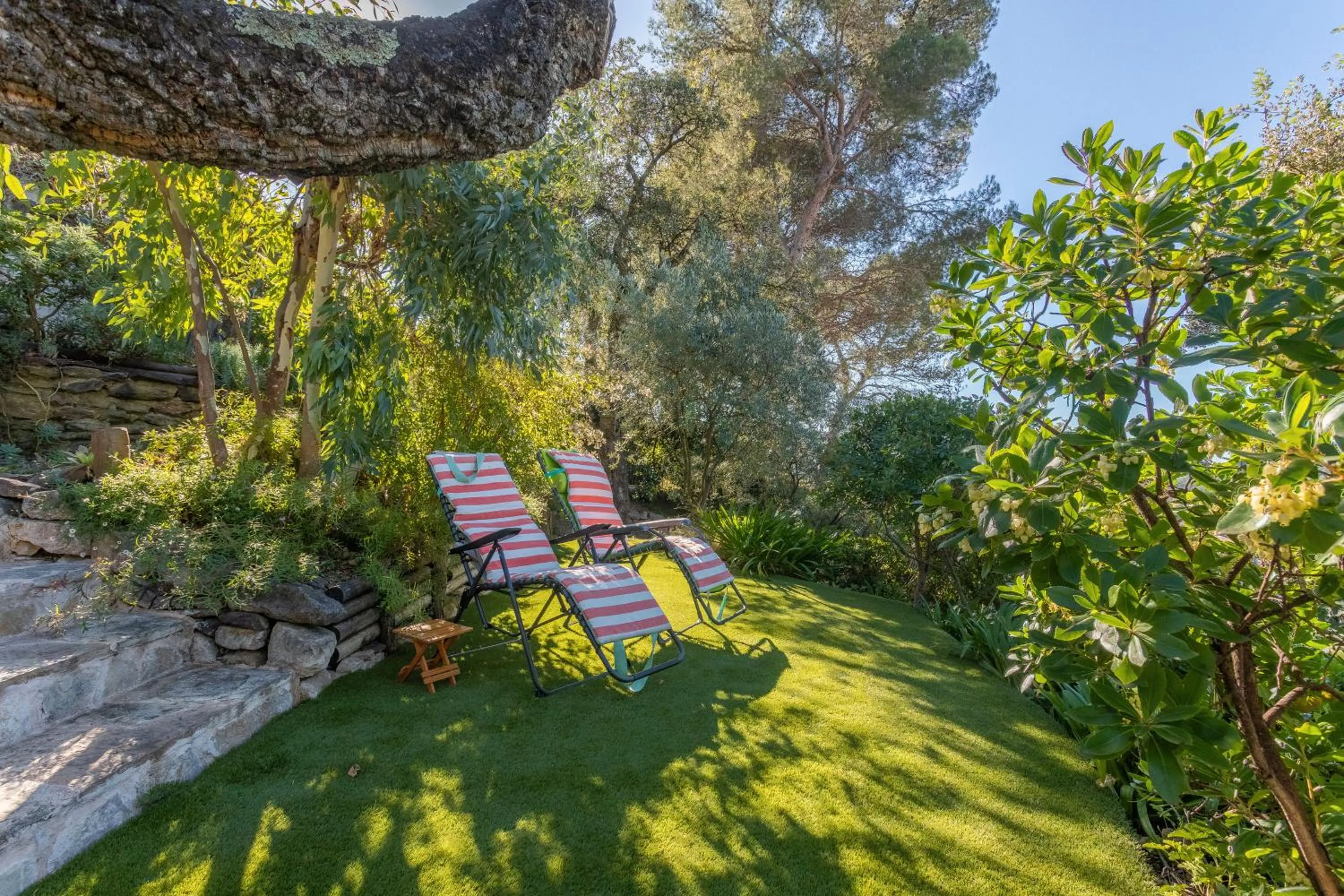 Au Jardin Des Couleurs