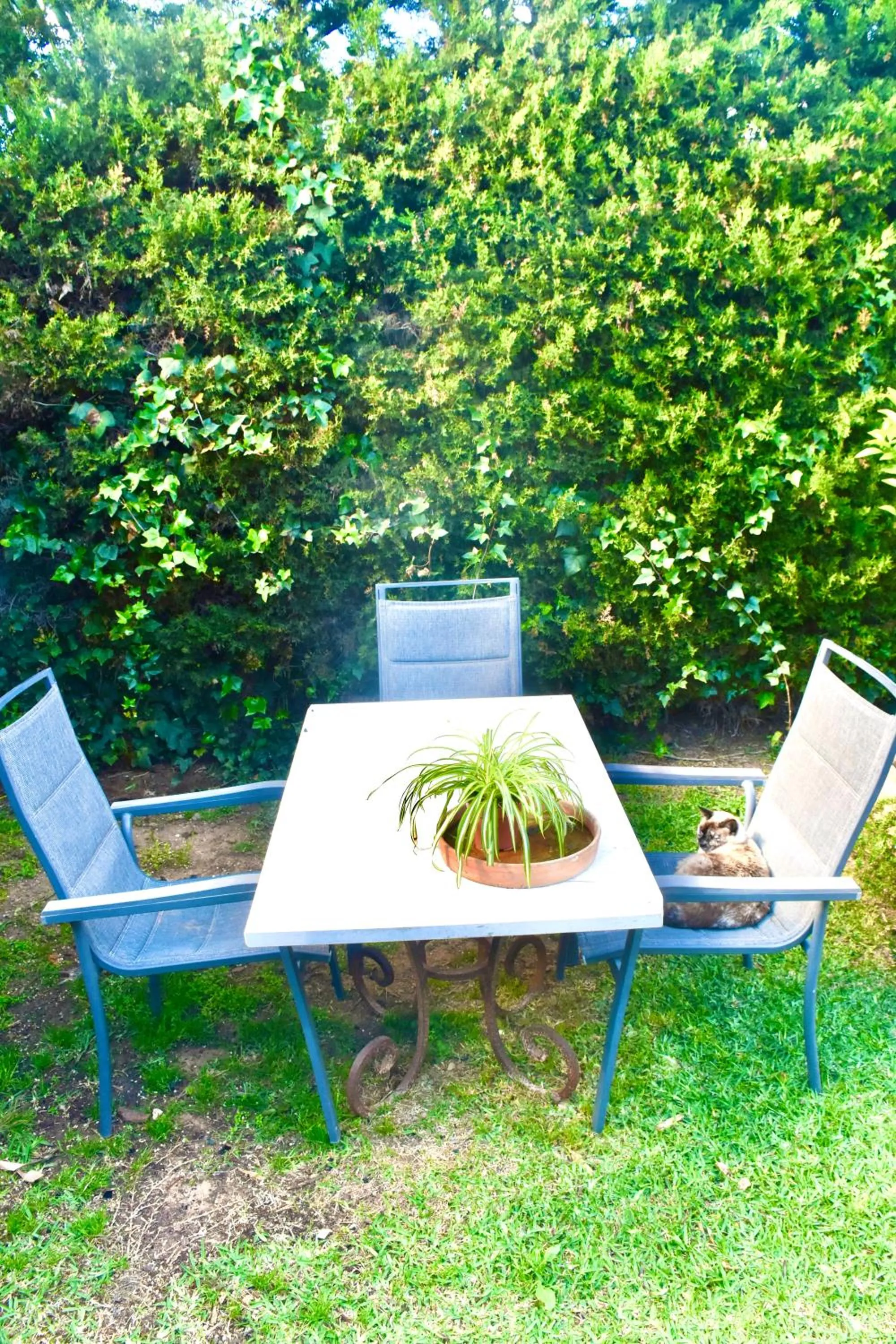 Romantic Private Cabin