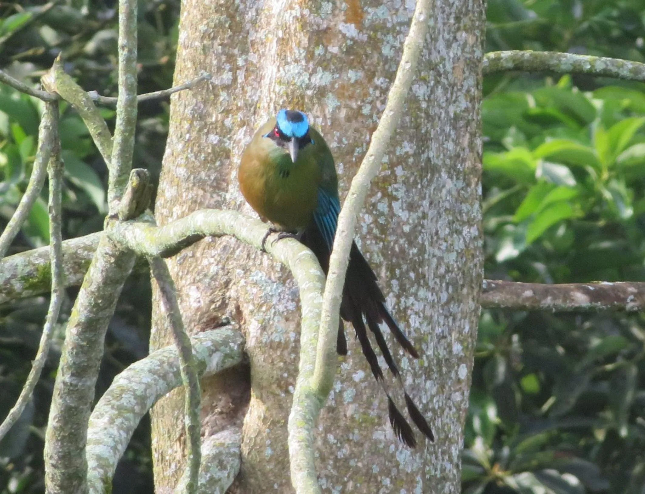 Natural landscape in Finca Hotel el Palmar