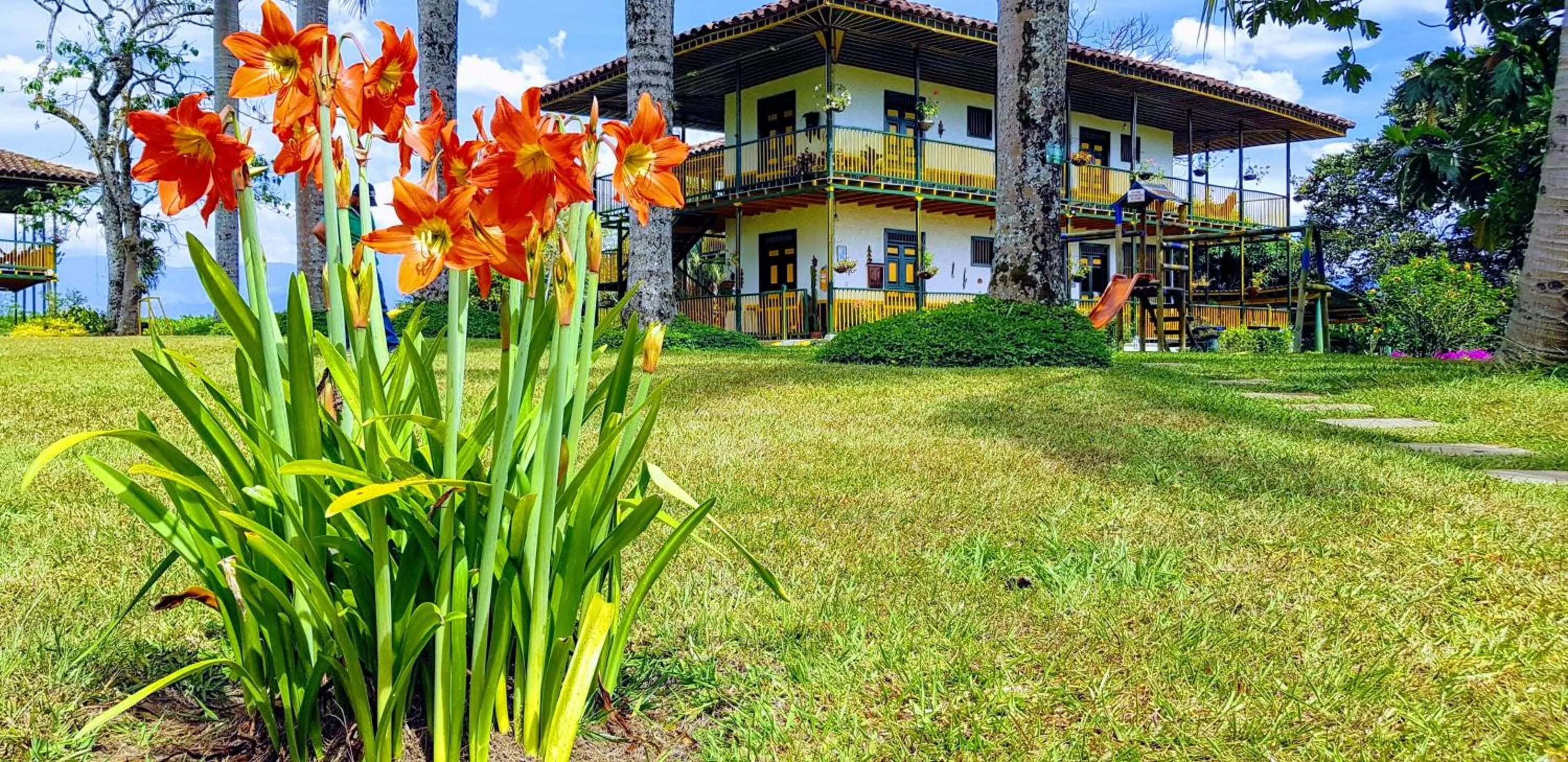 Natural landscape in Finca Hotel el Palmar