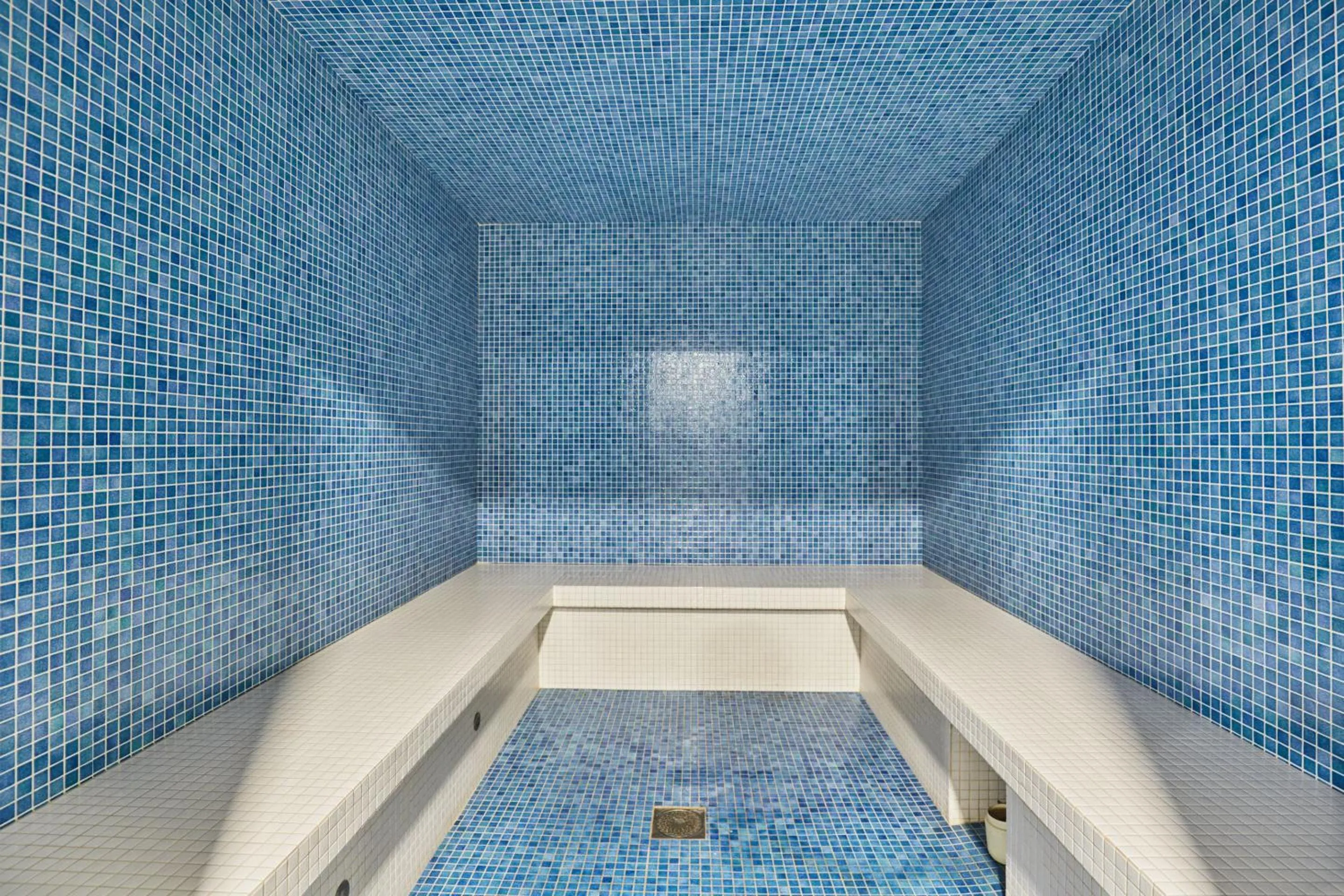 Steam room in Résidence Odalys Isatis