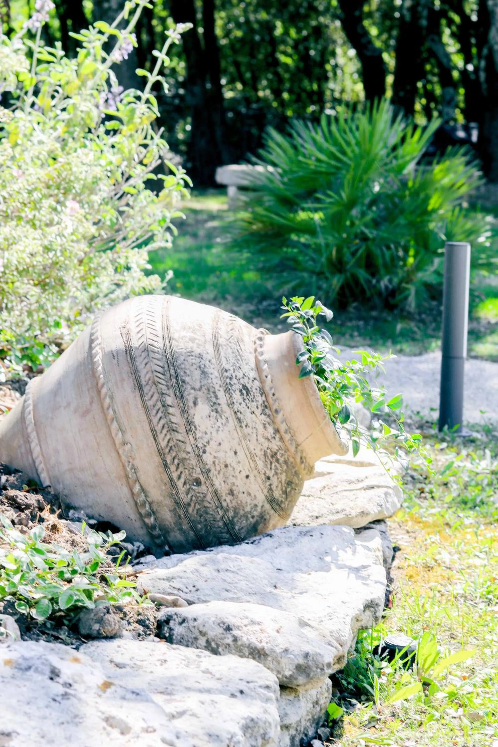 Garden in Logis Hôtel La Bastide De Grignan & Restaurant "La Chênaie"