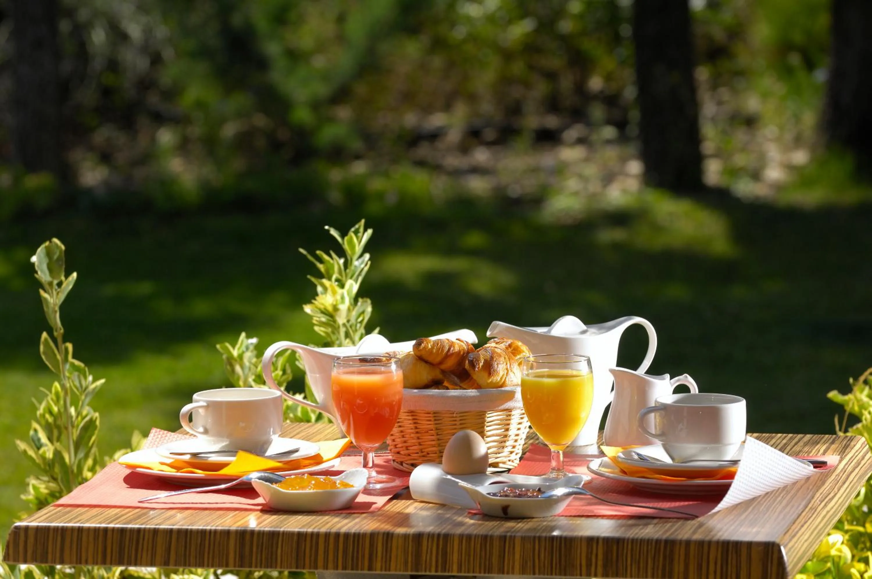 Balcony/Terrace in Logis Hôtel La Bastide De Grignan & Restaurant "La Chênaie"