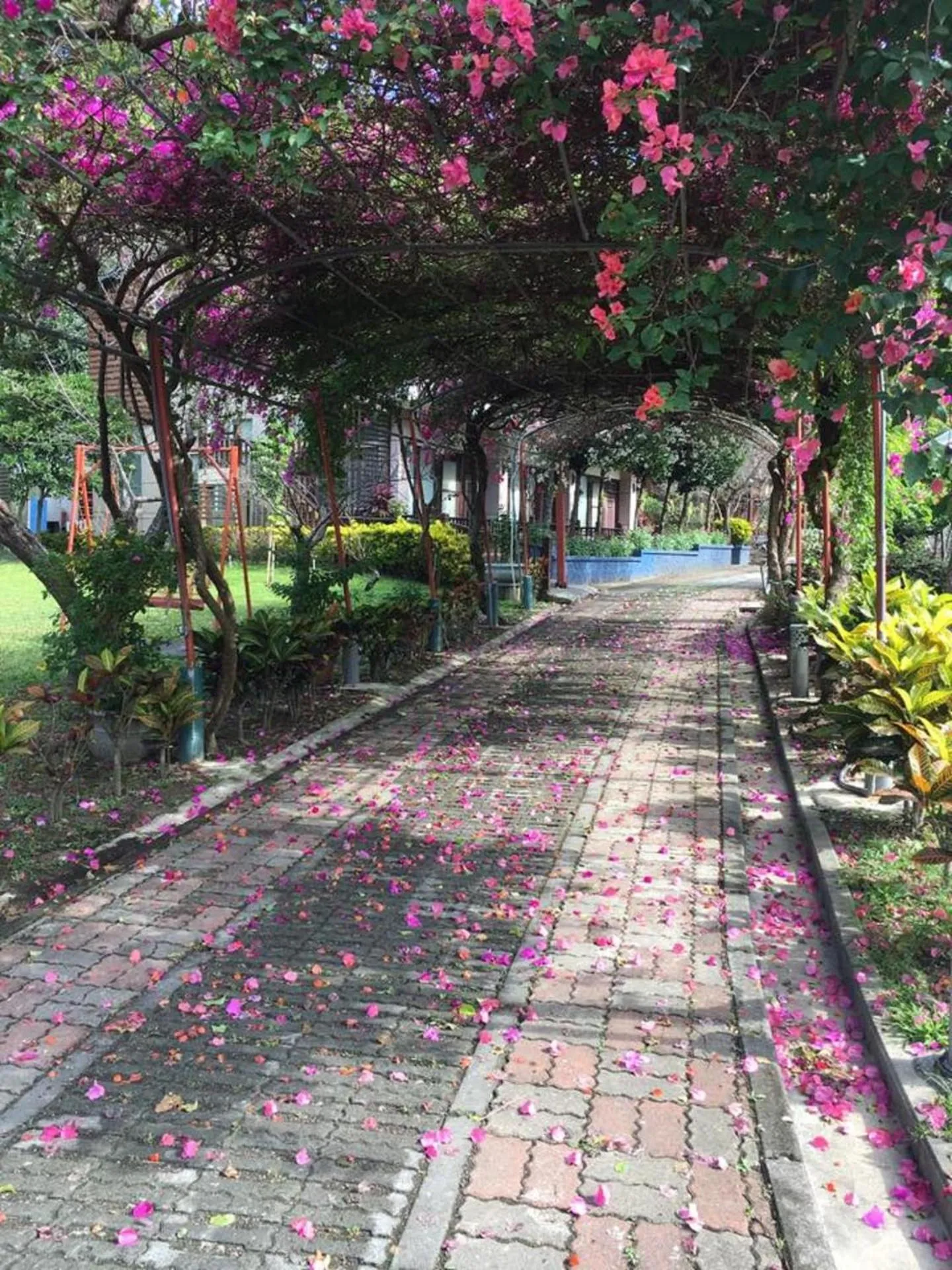 Off site in Maylin B&B