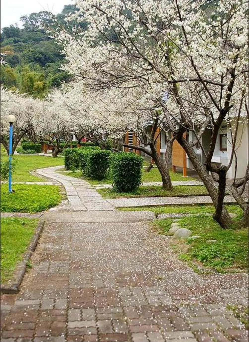 Off site in Maylin B&B