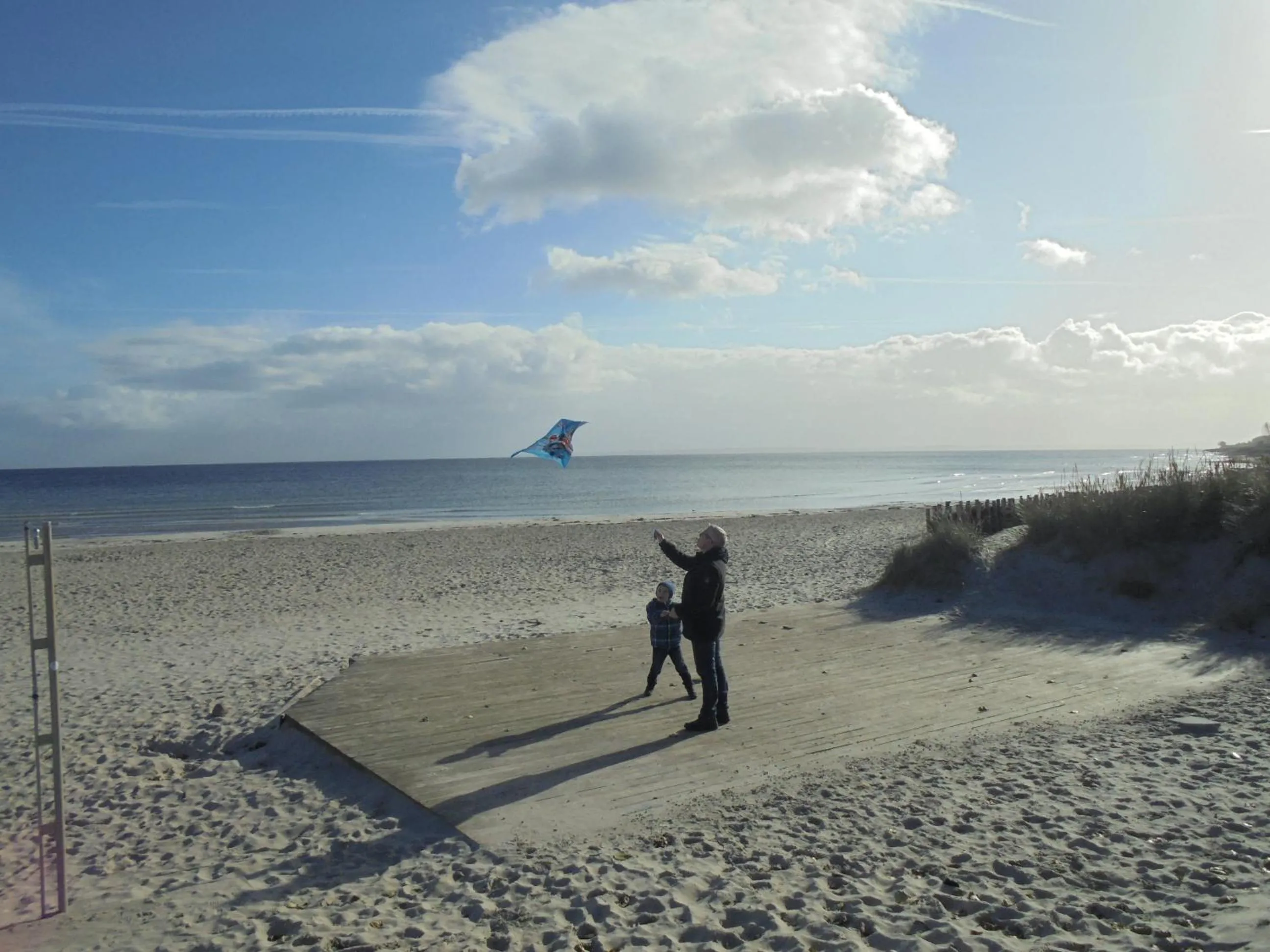 Ostseestern