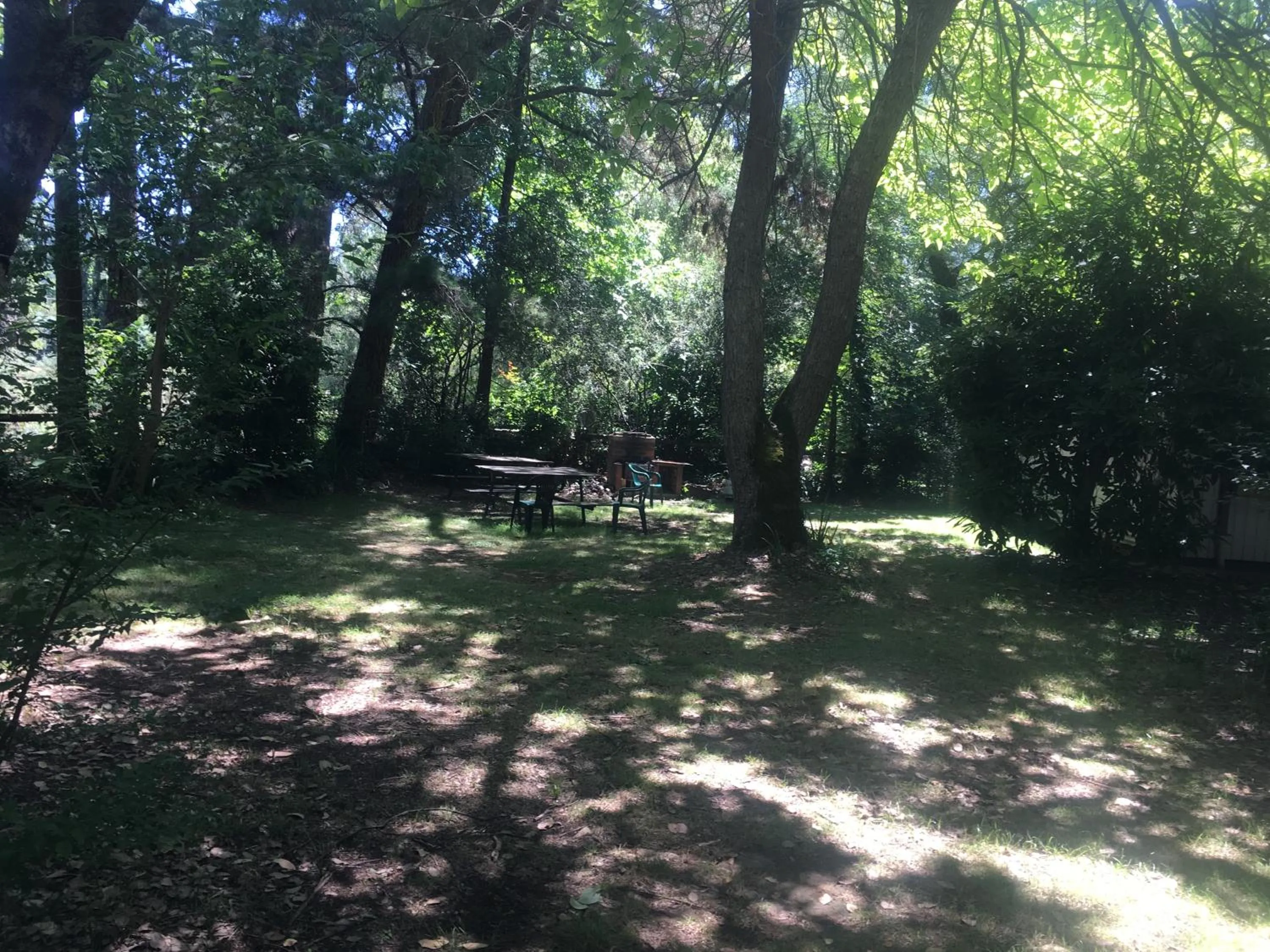 BBQ facilities in Ovensview On Riverside