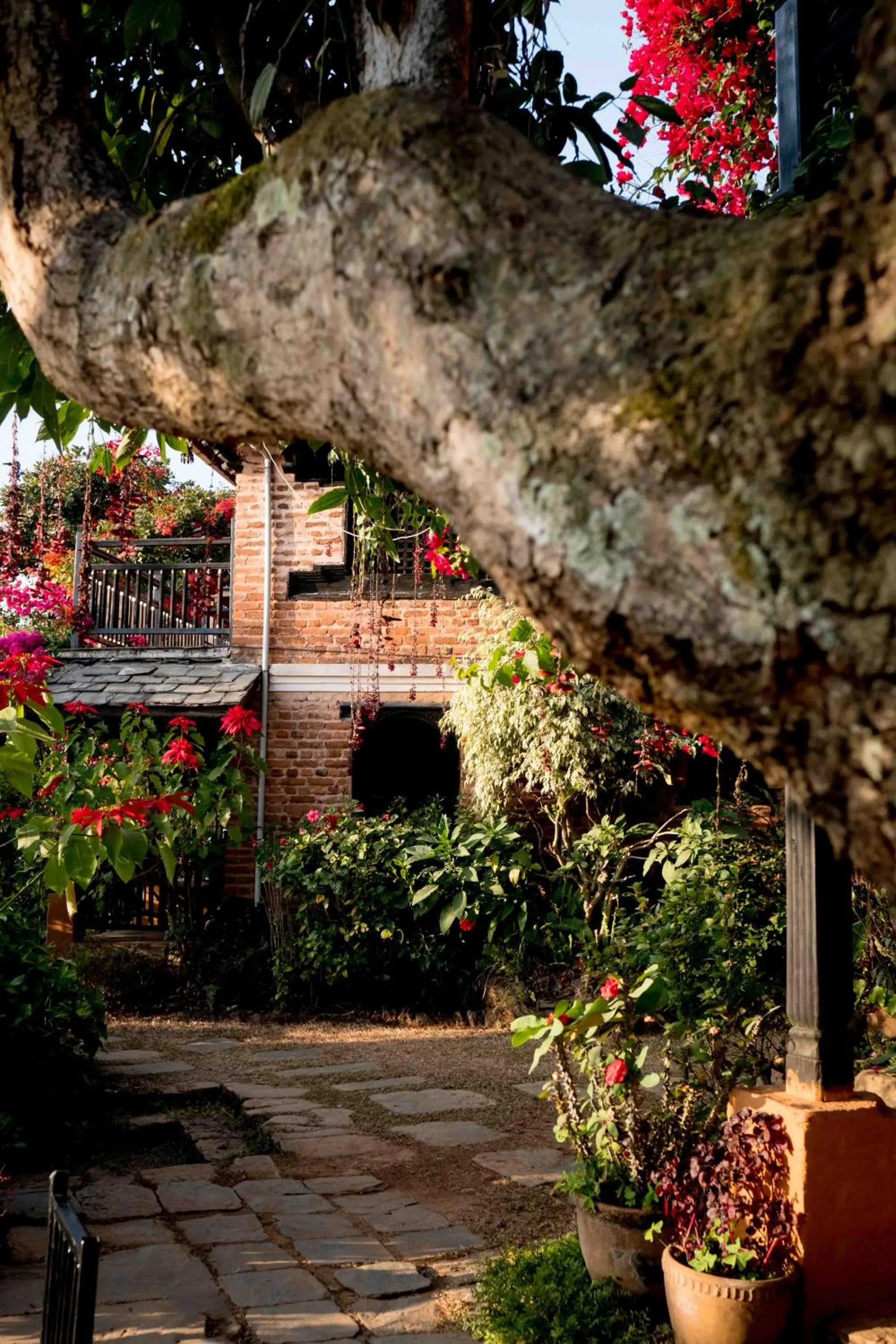 Garden view in The Famous Farm