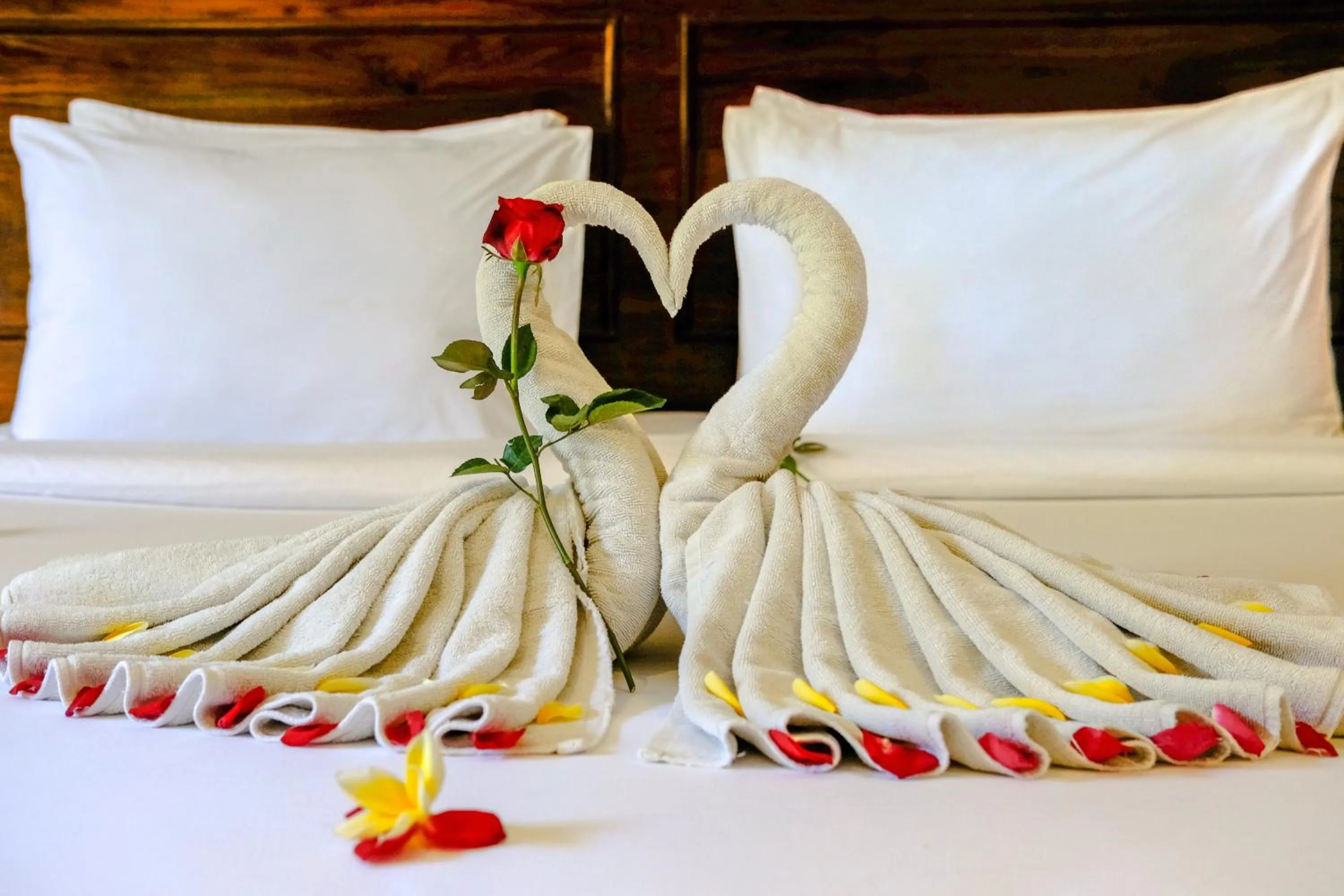 Bed in Papillon Echo Beach