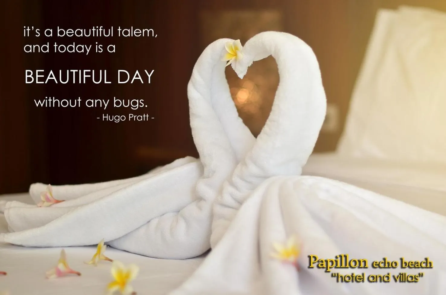 Other in Papillon Echo Beach