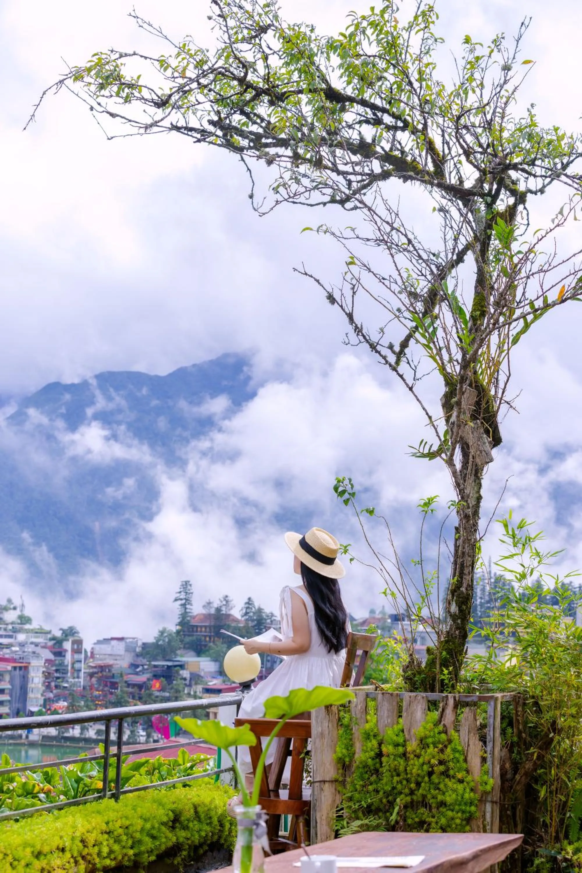 Spring in Sapa Village Hotel