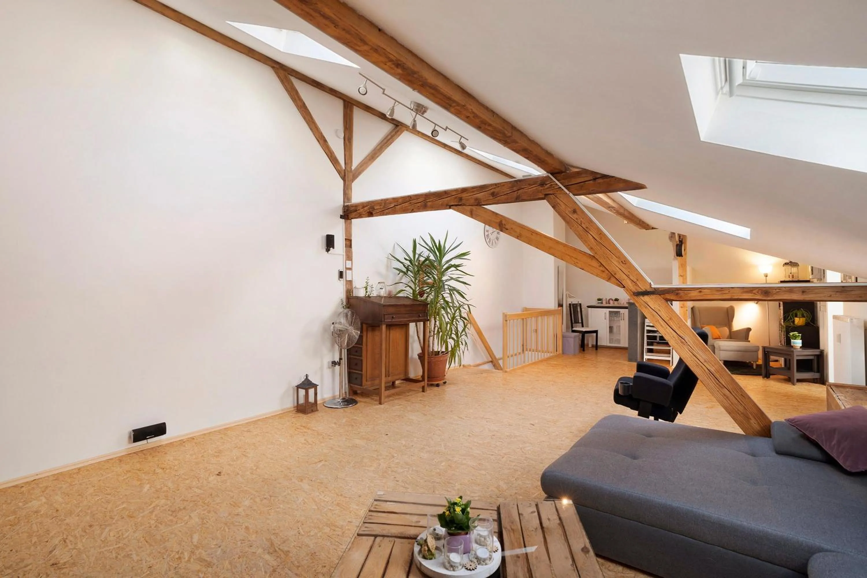 Apartment with Shower in Loft Sven