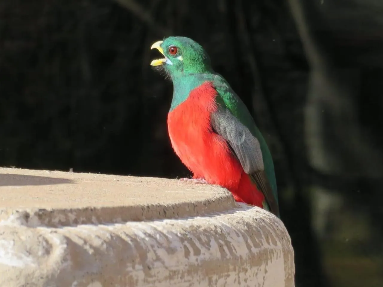Animals in Valley of the Rainbow Fly Fishing Estate