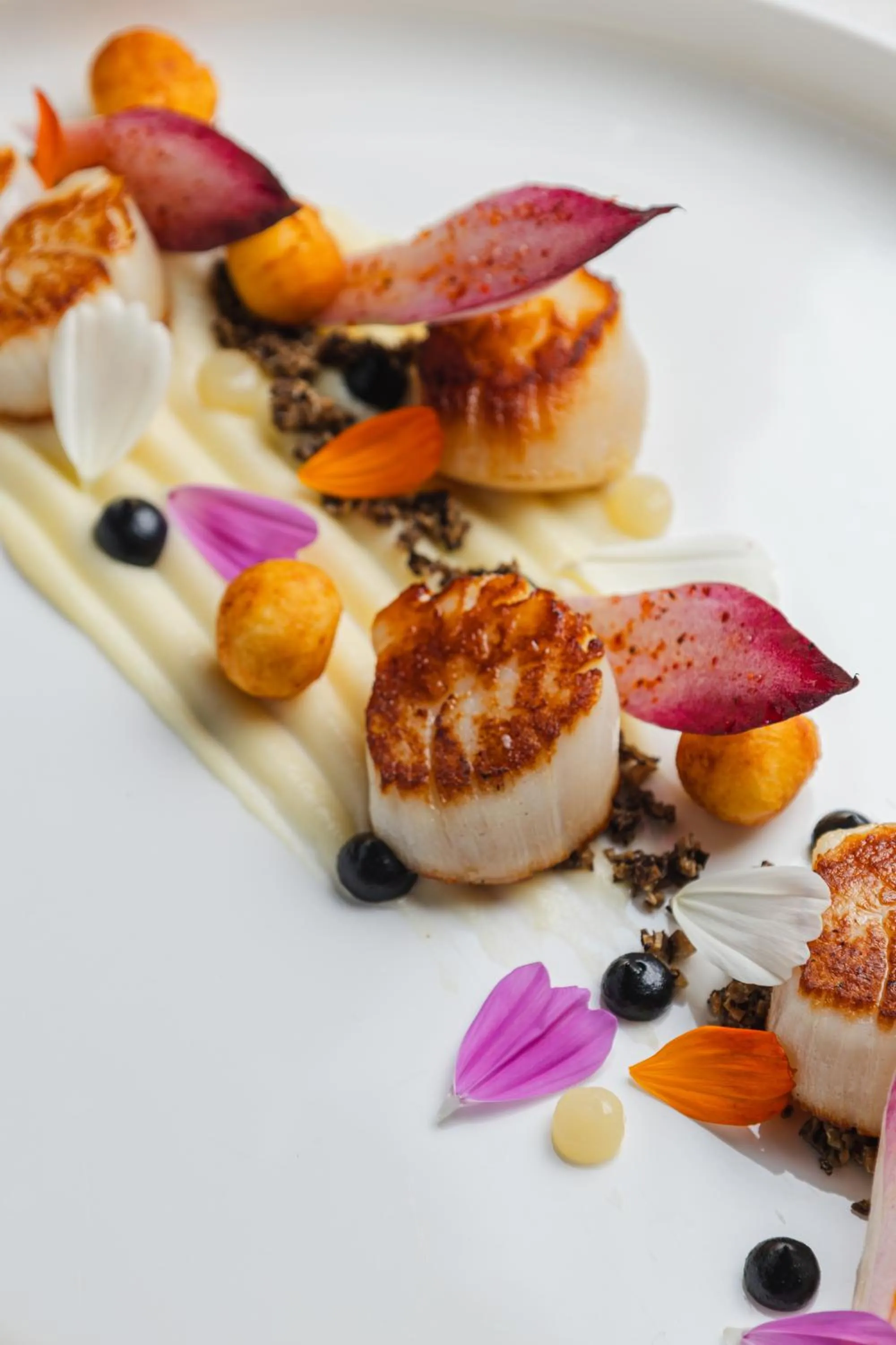 Food in Domaine la Pierre Blanche