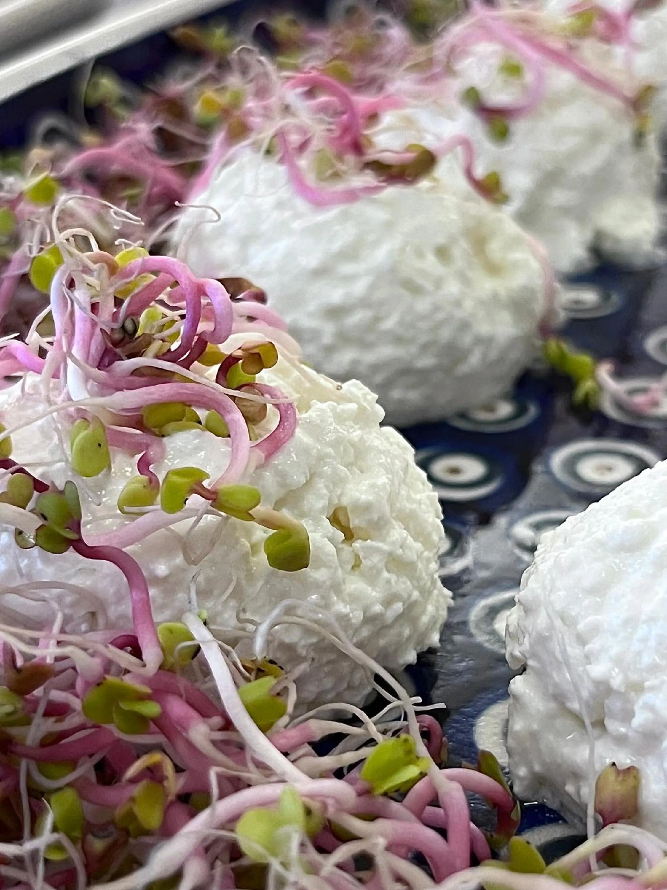 Breakfast in Hotel Centrum