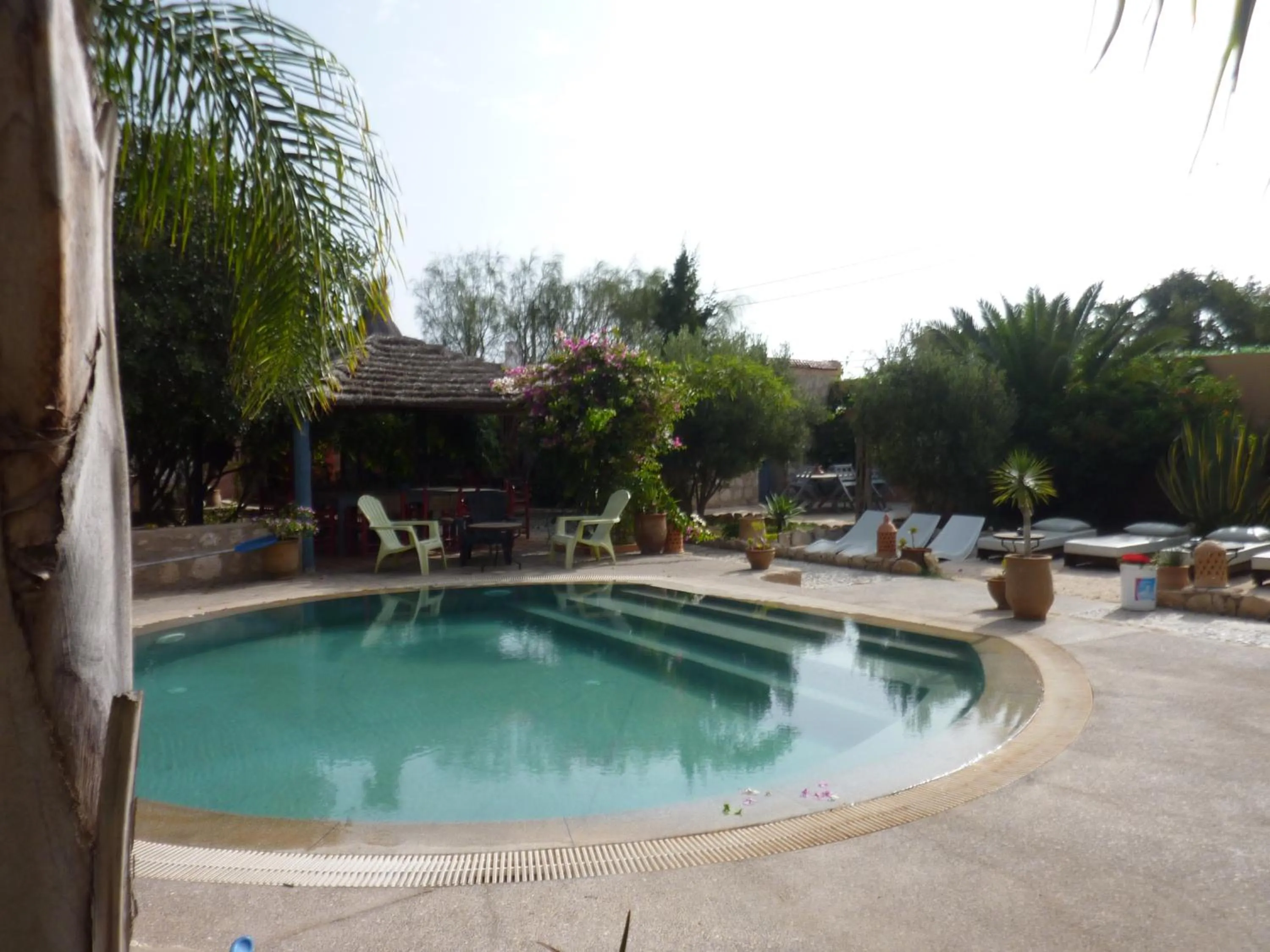 Garden in Villa Grenadine