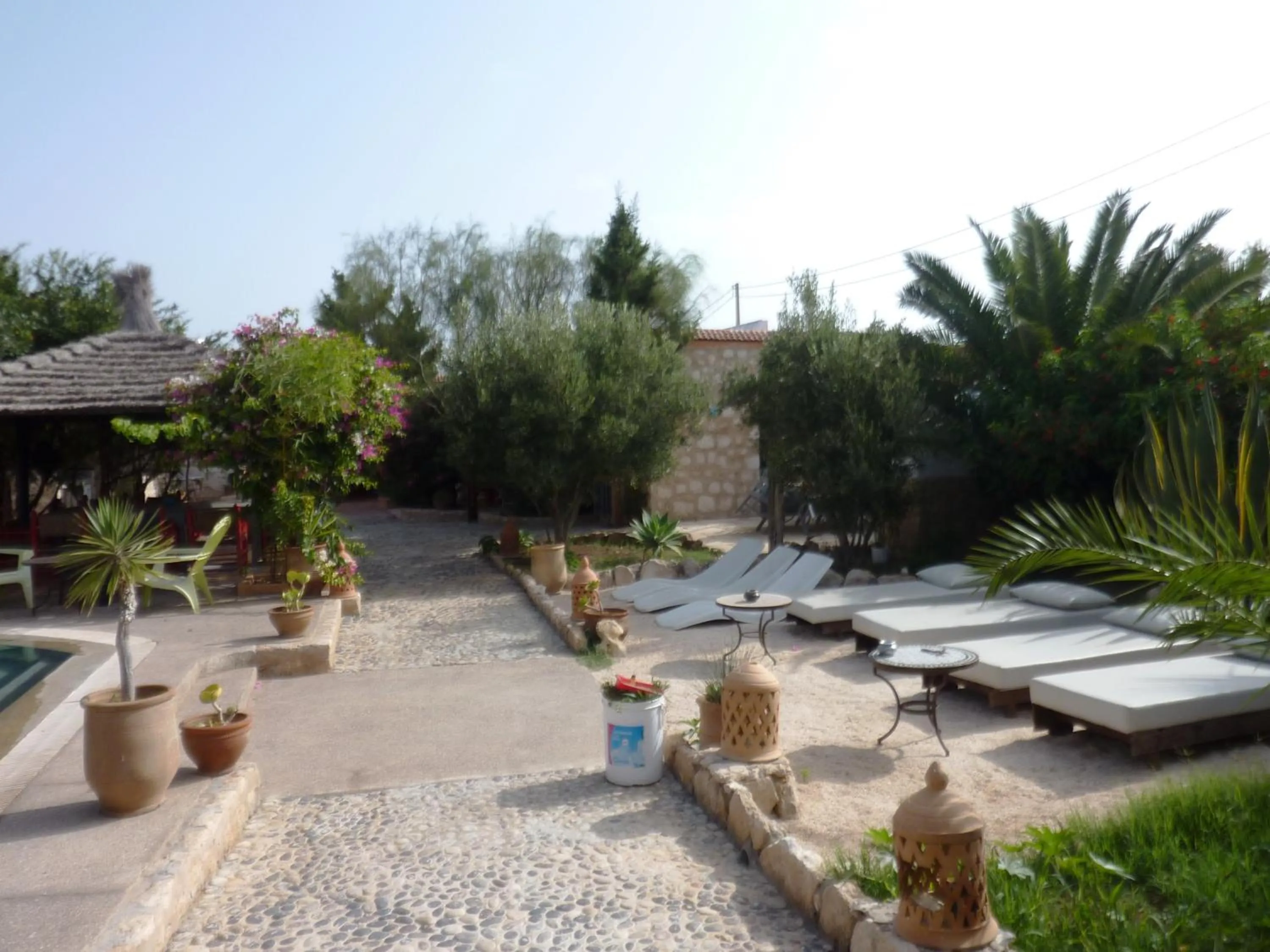 Garden in Villa Grenadine