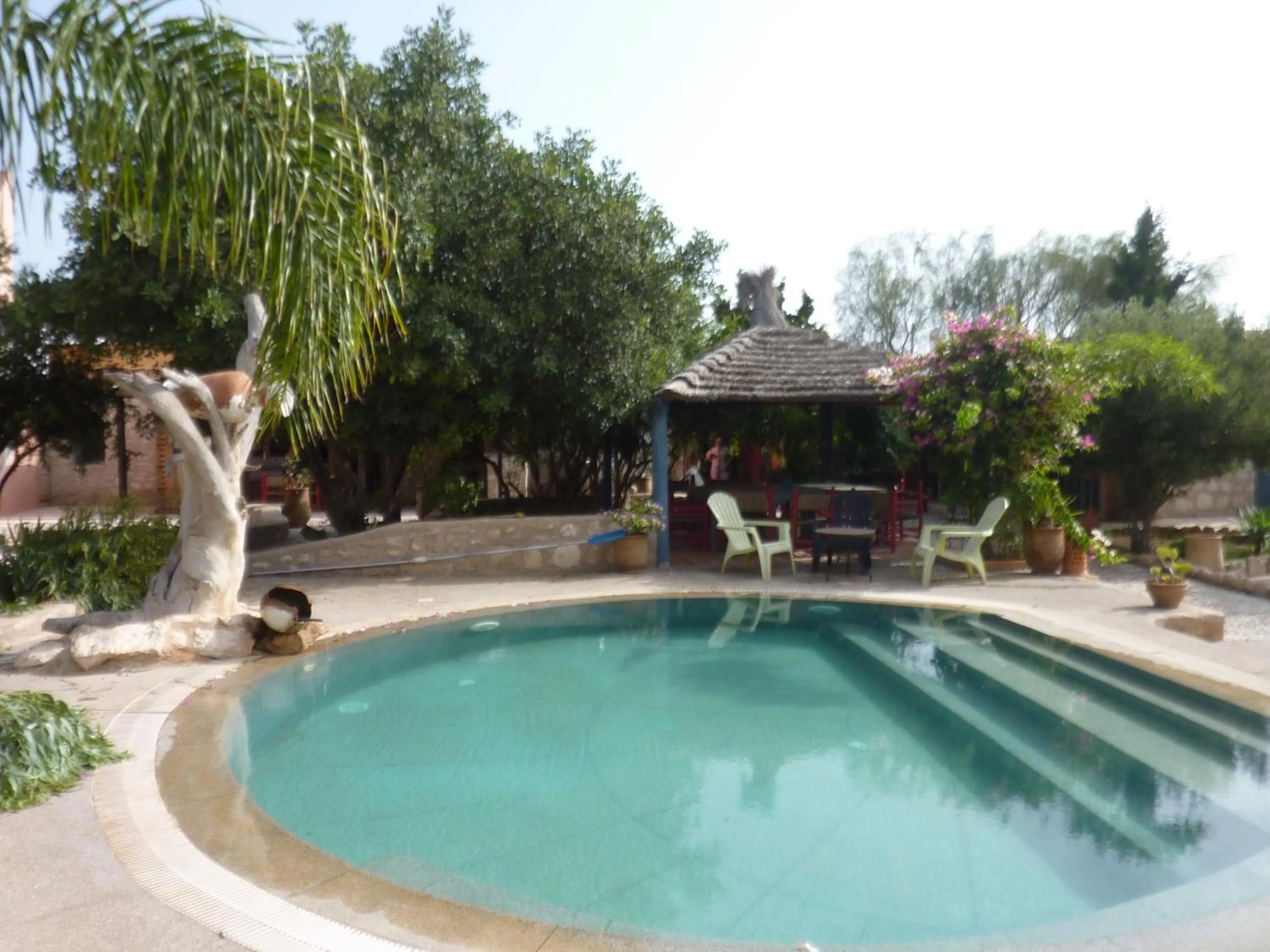 Garden in Villa Grenadine