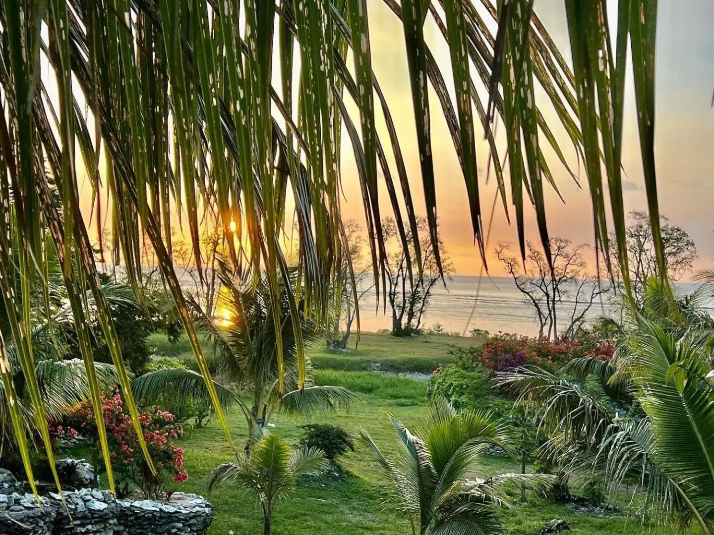 Tanna Evergreen Resort & Tours