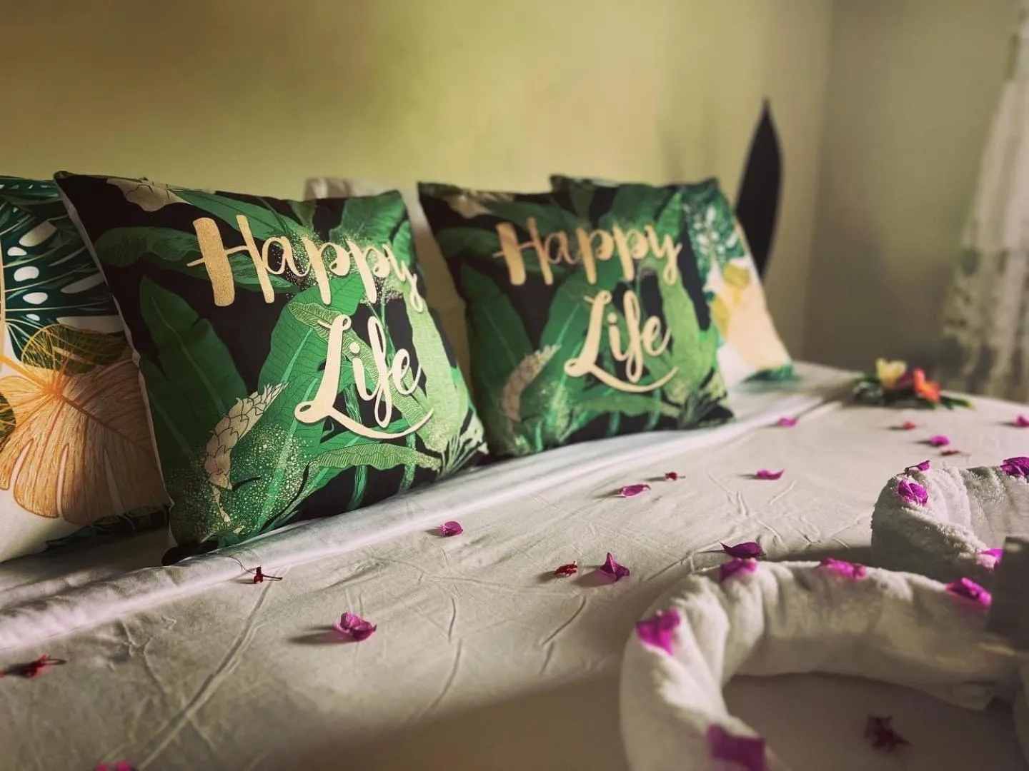 Tanna Evergreen Resort & Tours