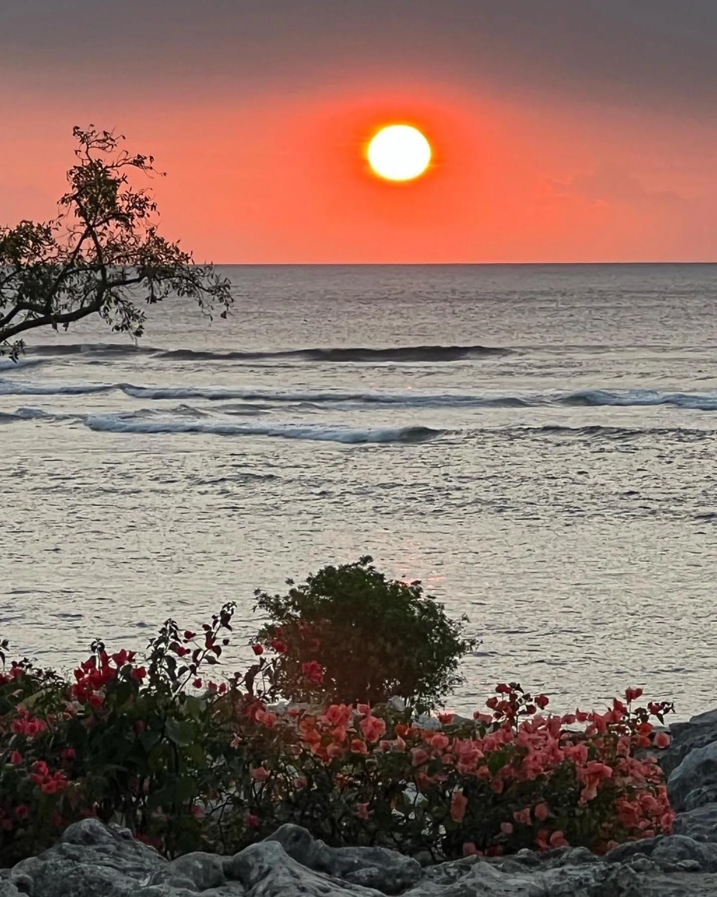 Tanna Evergreen Resort & Tours