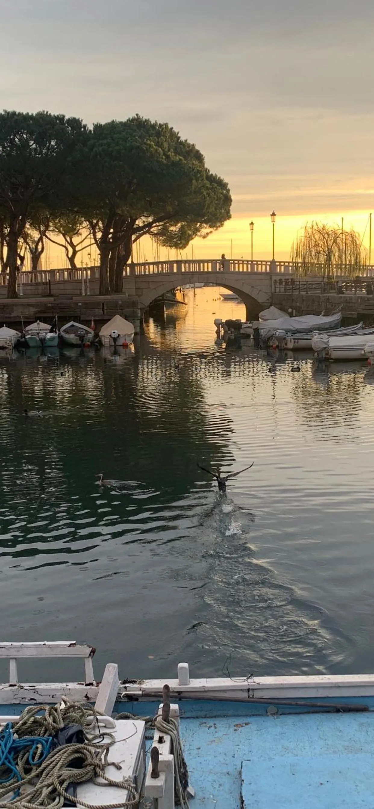 Antonella Gardalake 2